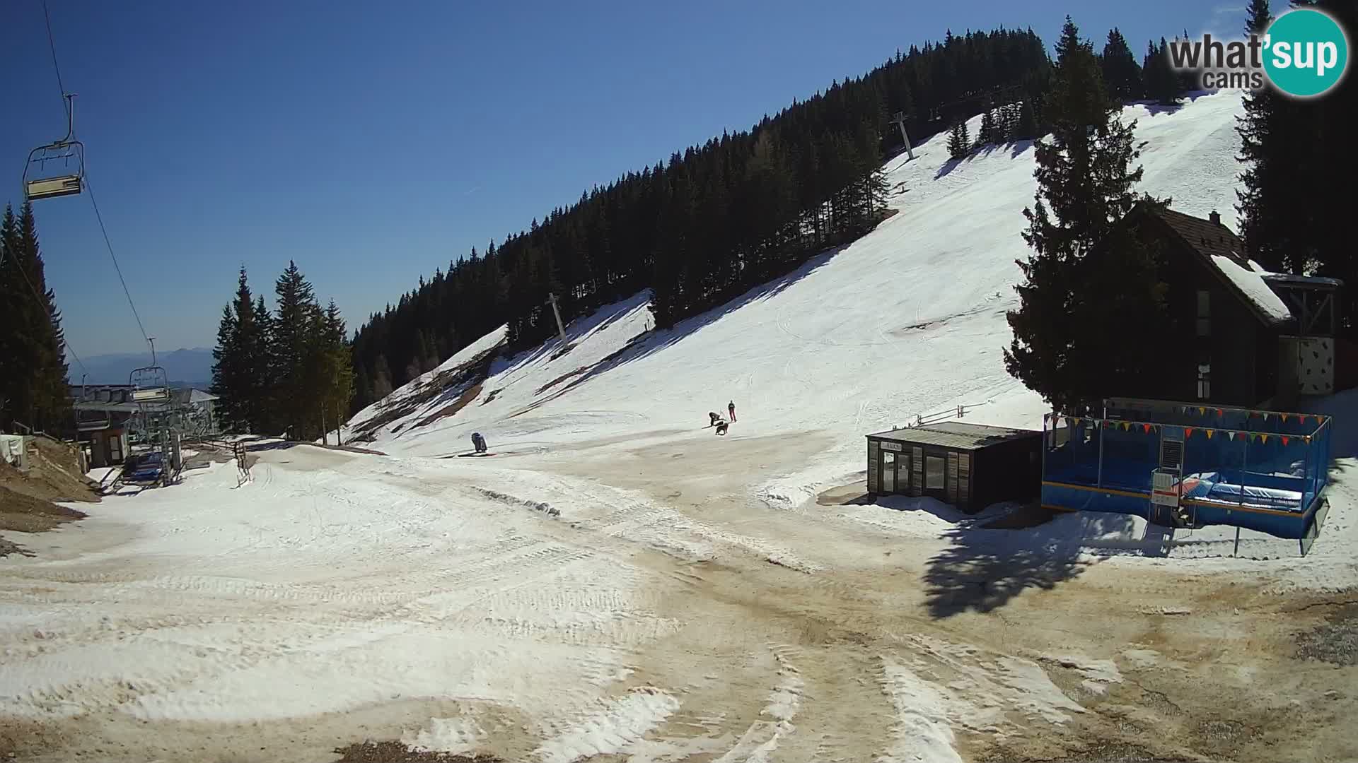 GOLTE skijalište web kamera – pogled na Medvedjak – Slovenija