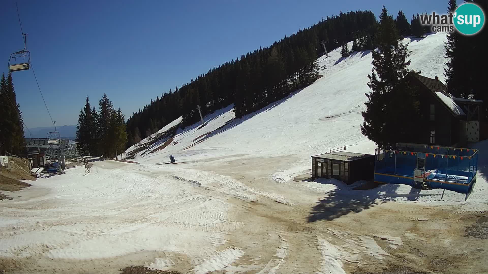 GOLTE Skigebiet webcam – Schöne Aussicht auf Medvedjak – Slowenien