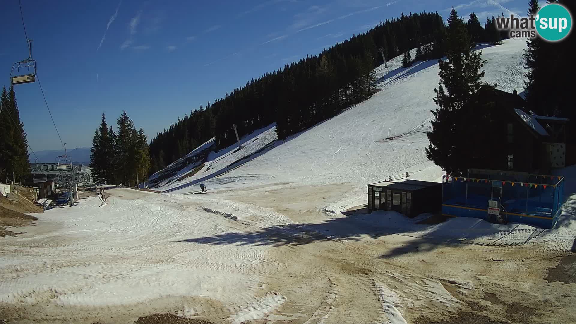 GOLTE Skigebiet webcam – Schöne Aussicht auf Medvedjak – Slowenien
