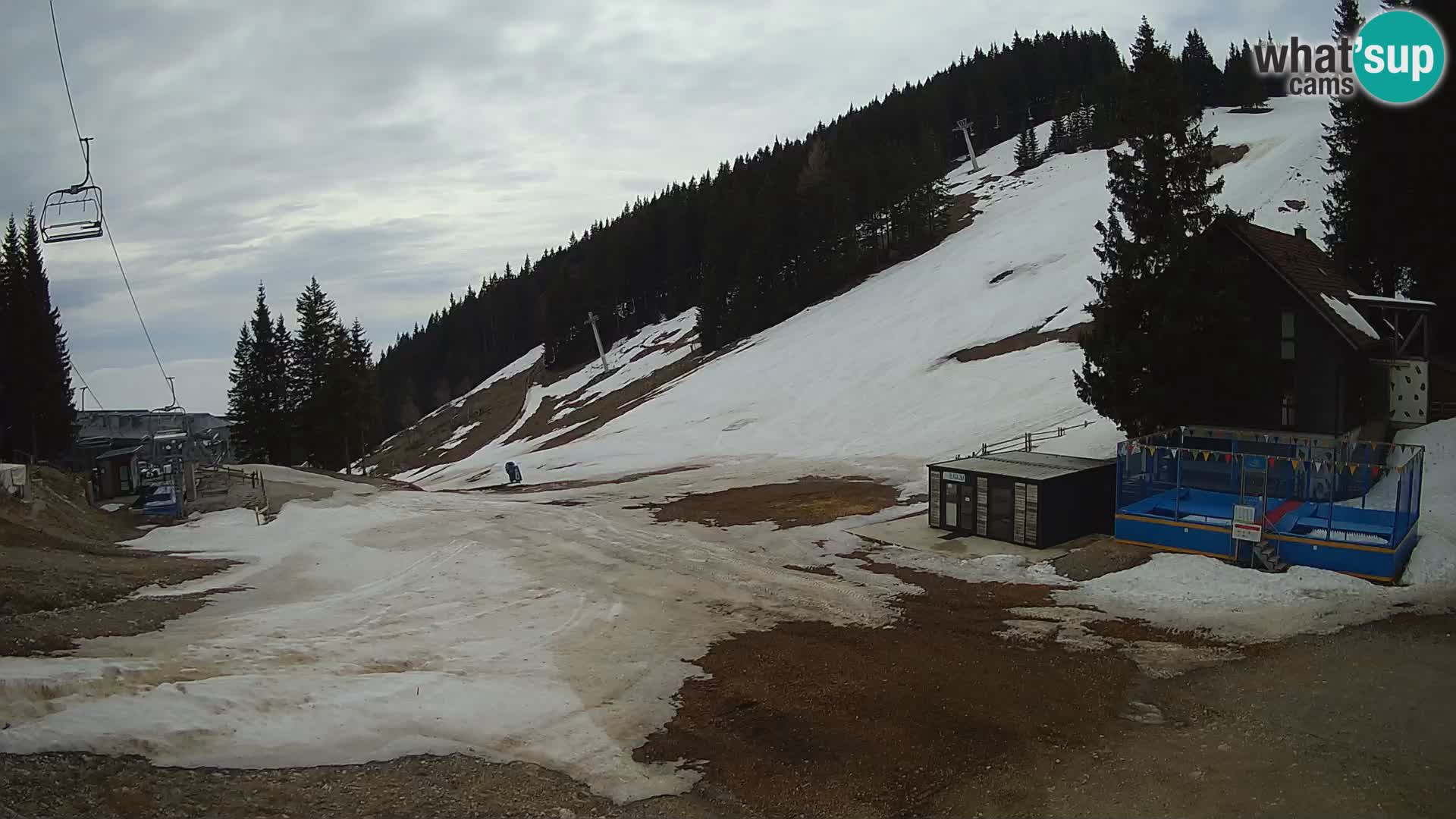 GOLTE Skigebiet webcam – Schöne Aussicht auf Medvedjak – Slowenien