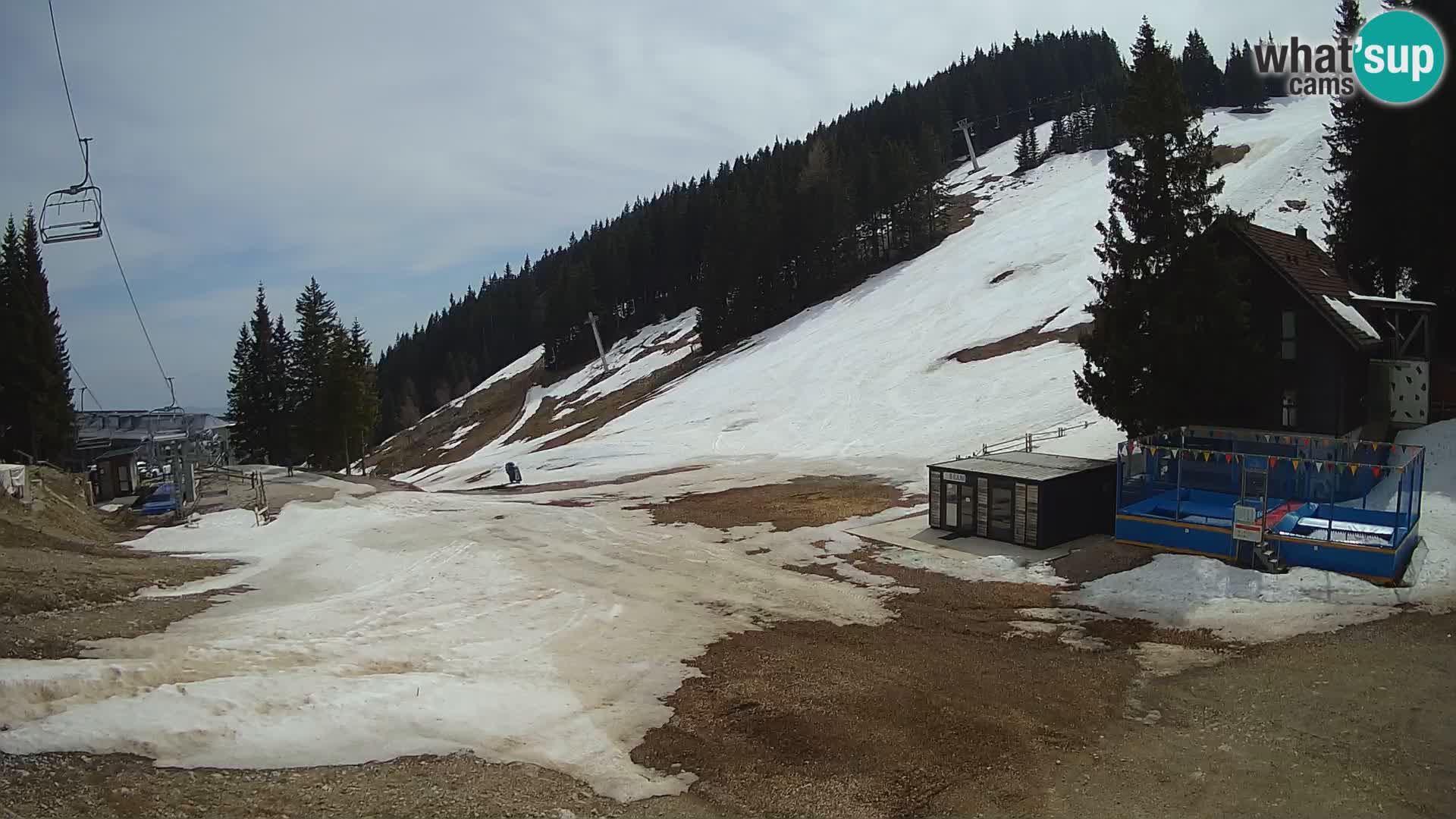 GOLTE Skigebiet webcam – Schöne Aussicht auf Medvedjak – Slowenien