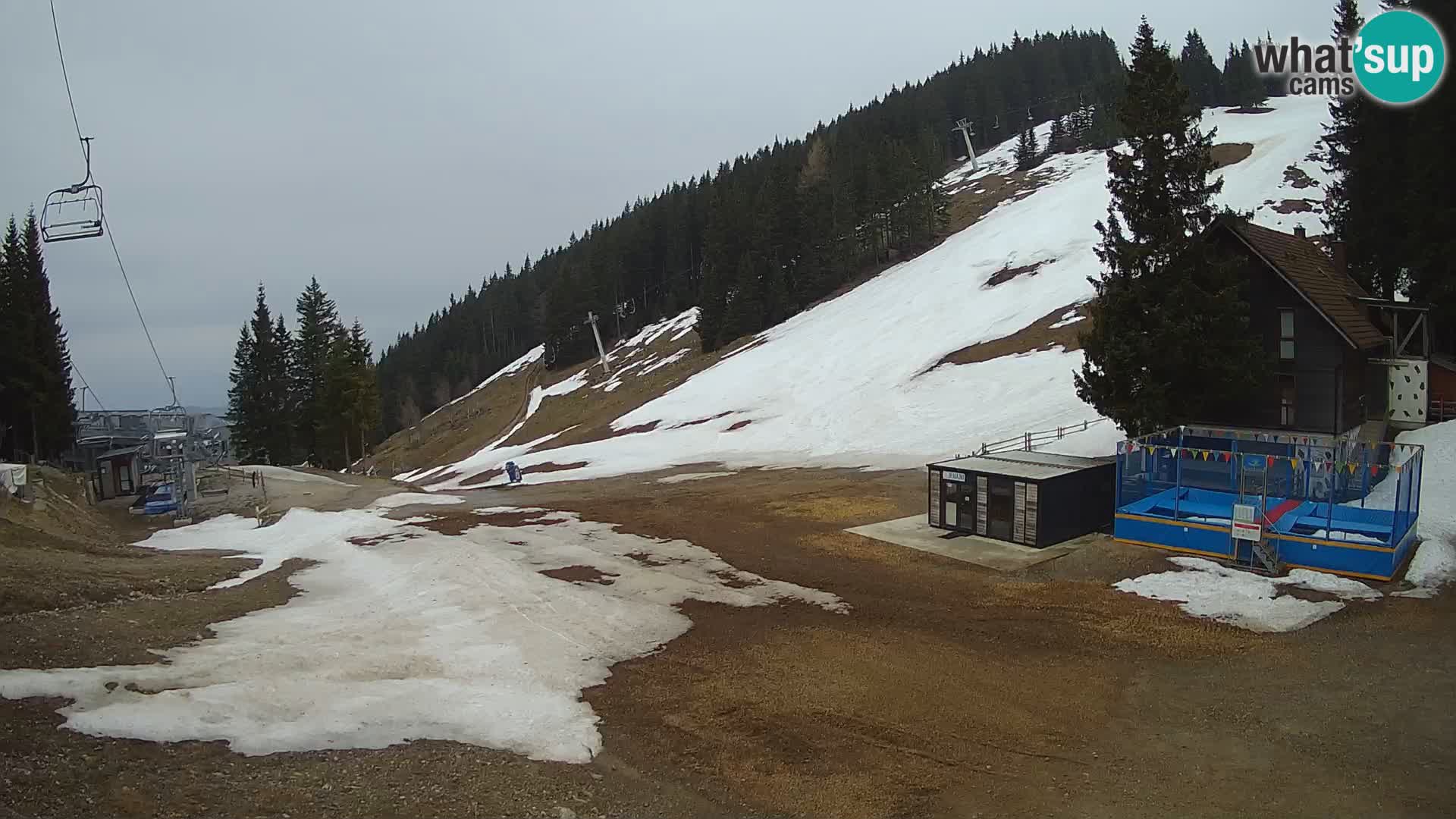 GOLTE Skigebiet webcam – Schöne Aussicht auf Medvedjak – Slowenien