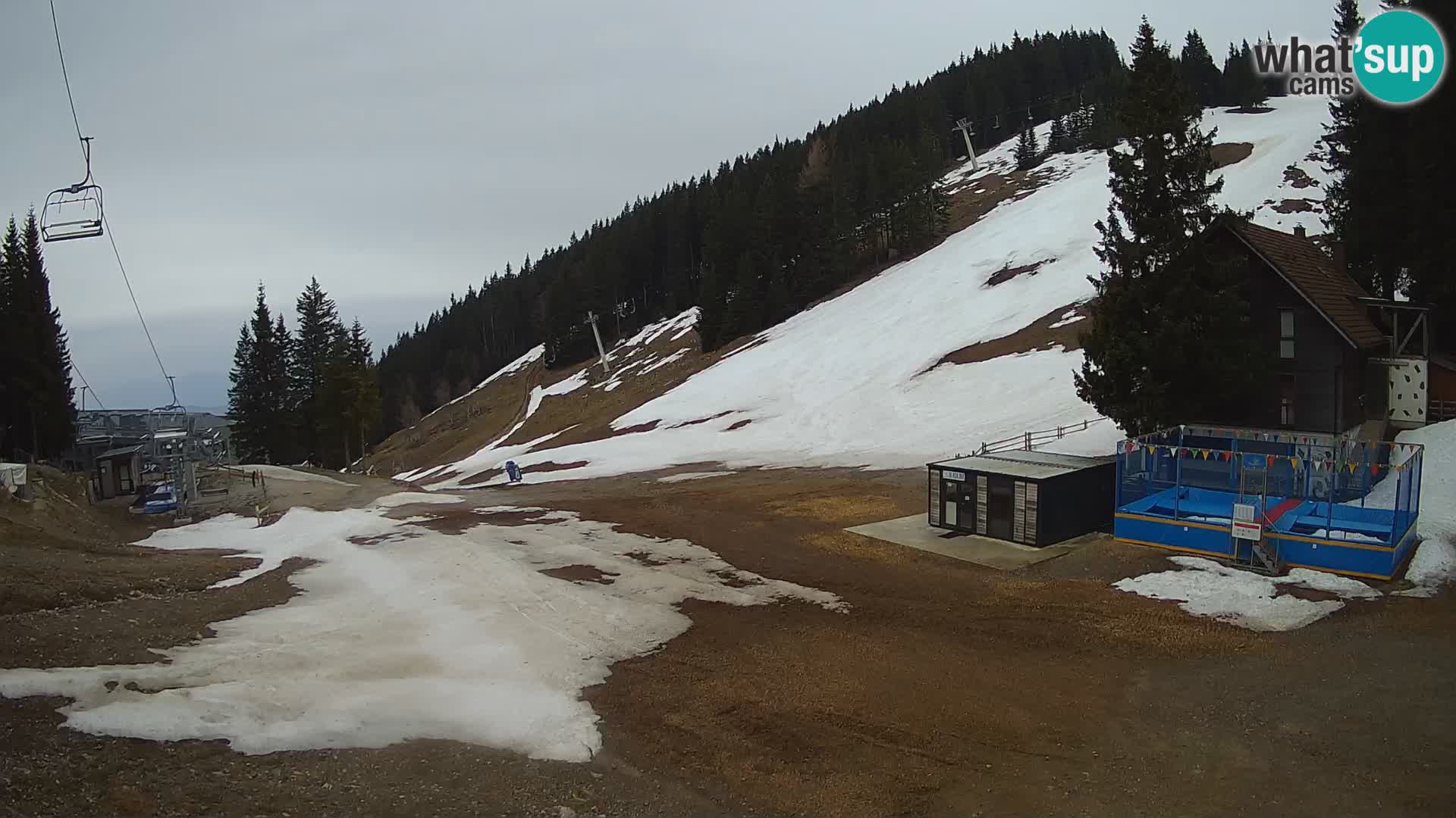 GOLTE stazione sciistica webcam – vista Medvedjak – Slovenia