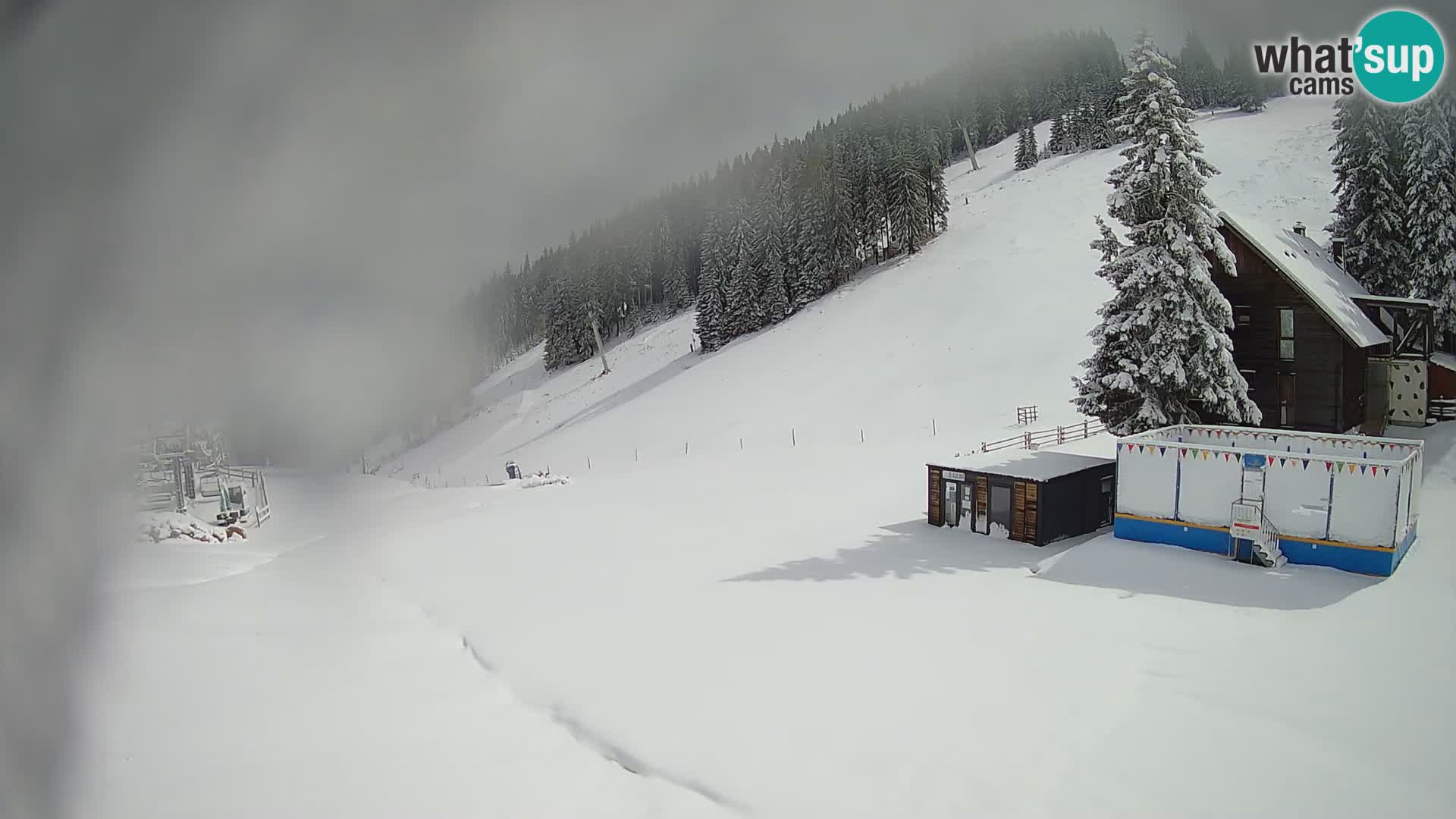 GOLTE skijalište web kamera – pogled na Medvedjak – Slovenija