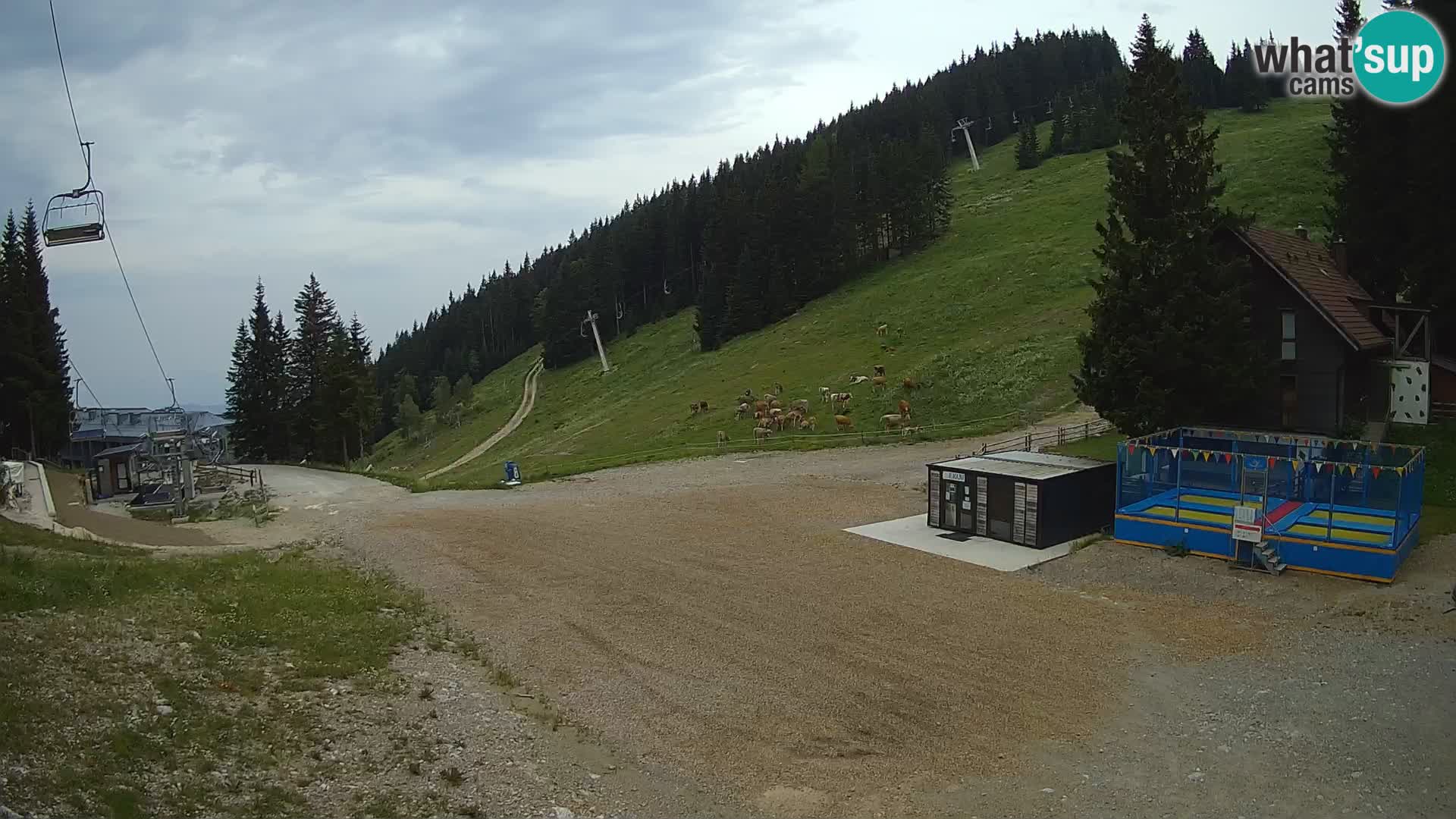 Cámara web en vivo de la estación de esquí GOLTE – vista a Medvedjak – Eslovenia