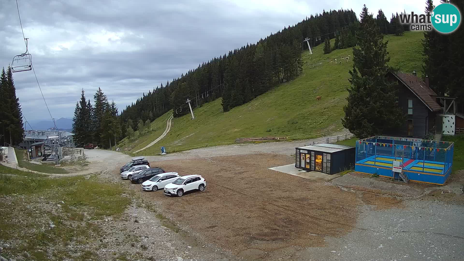 Spletna kamera smučišča GOLTE v živo – pogled na Medvedjak