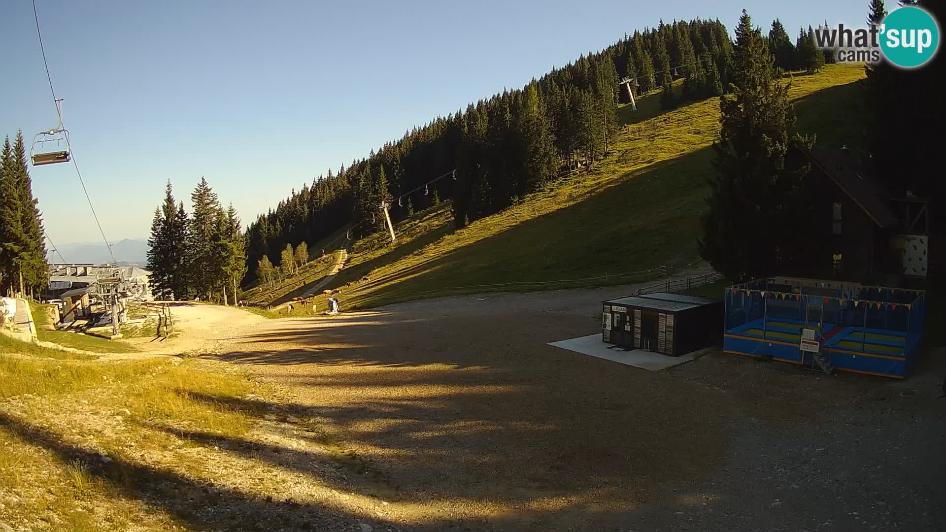 GOLTE stazione sciistica webcam – vista Medvedjak – Slovenia