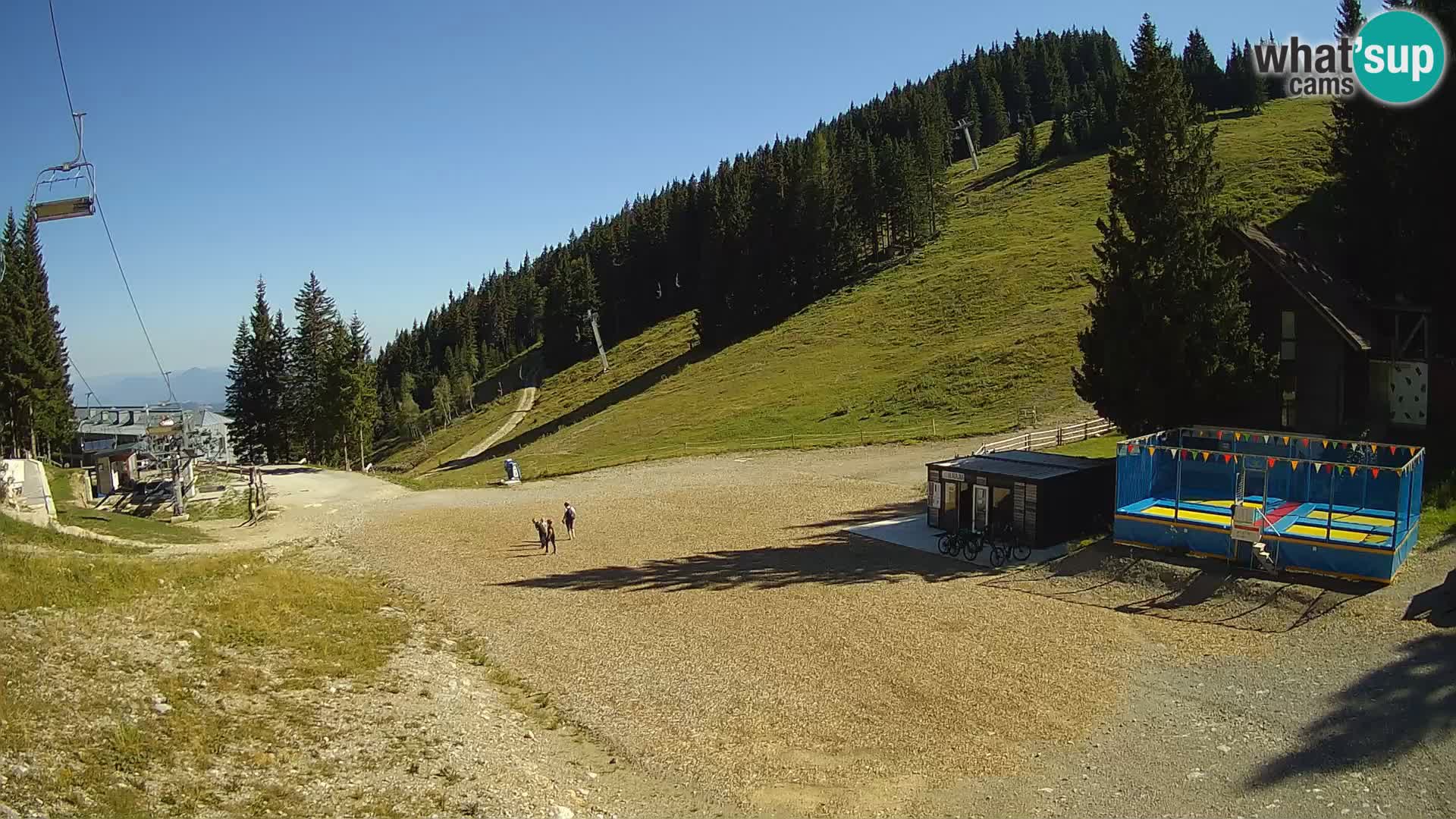 GOLTE stazione sciistica webcam – vista Medvedjak – Slovenia