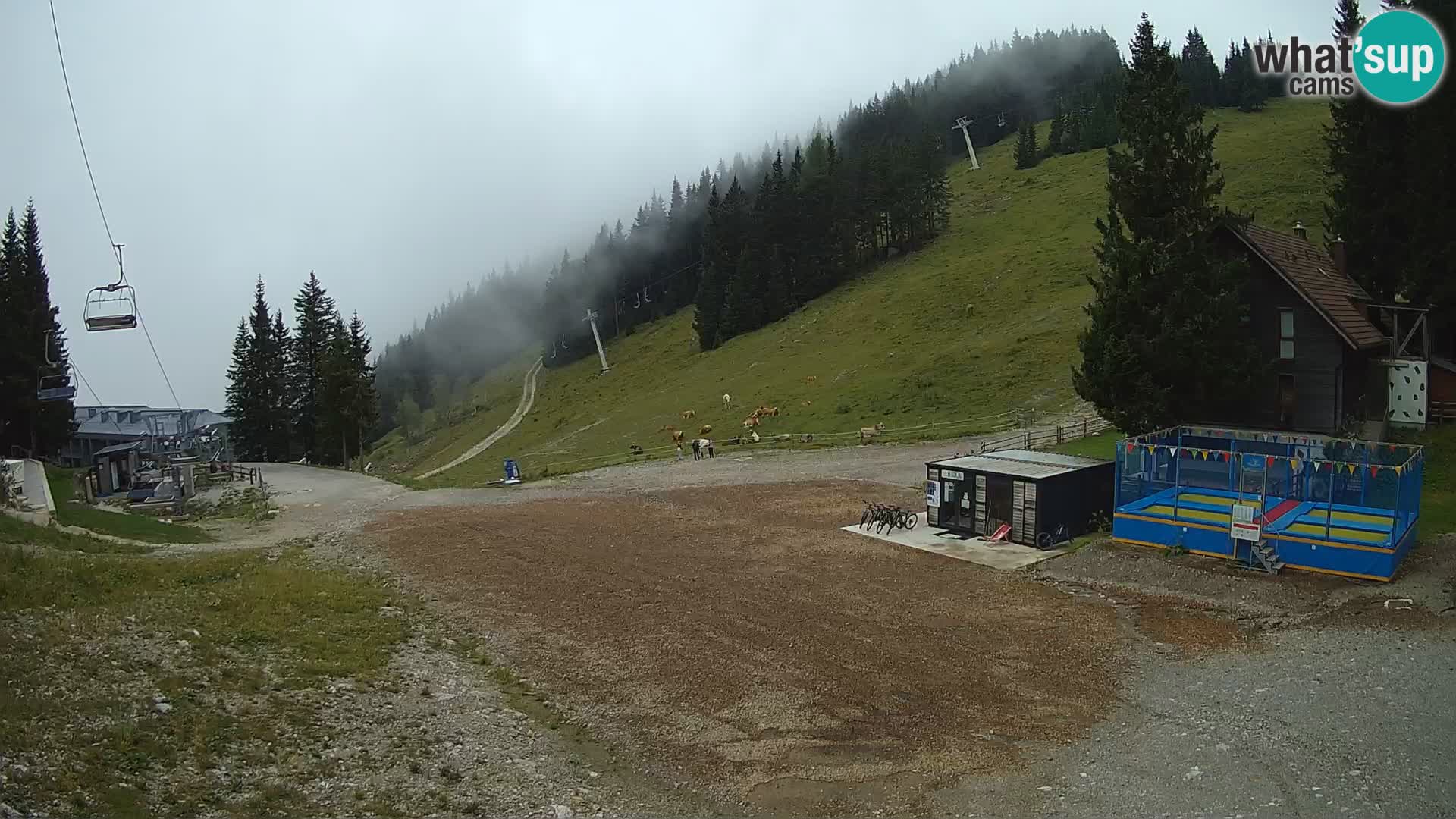 GOLTE stazione sciistica webcam – vista Medvedjak – Slovenia