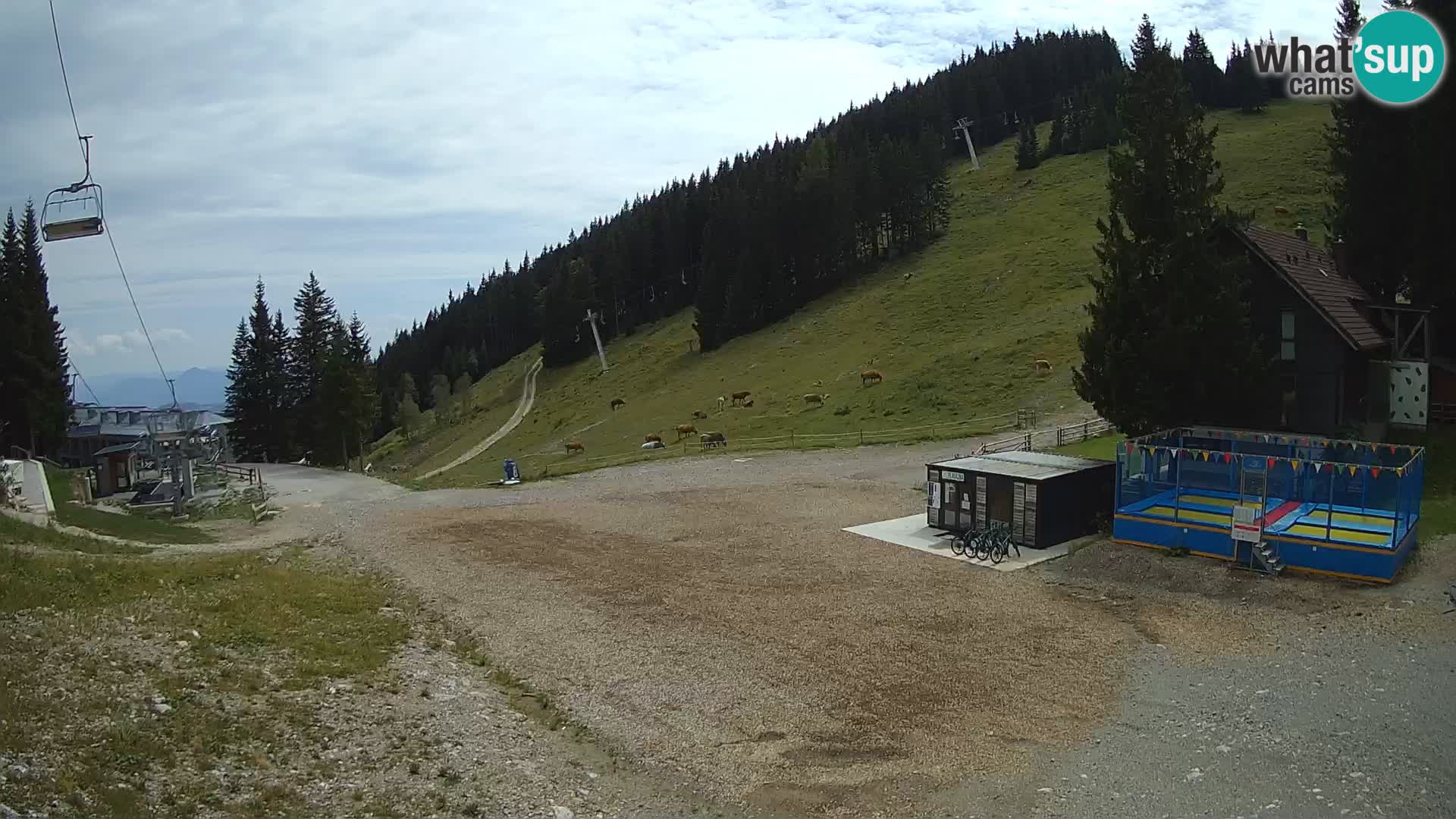 GOLTE stazione sciistica webcam – vista Medvedjak – Slovenia