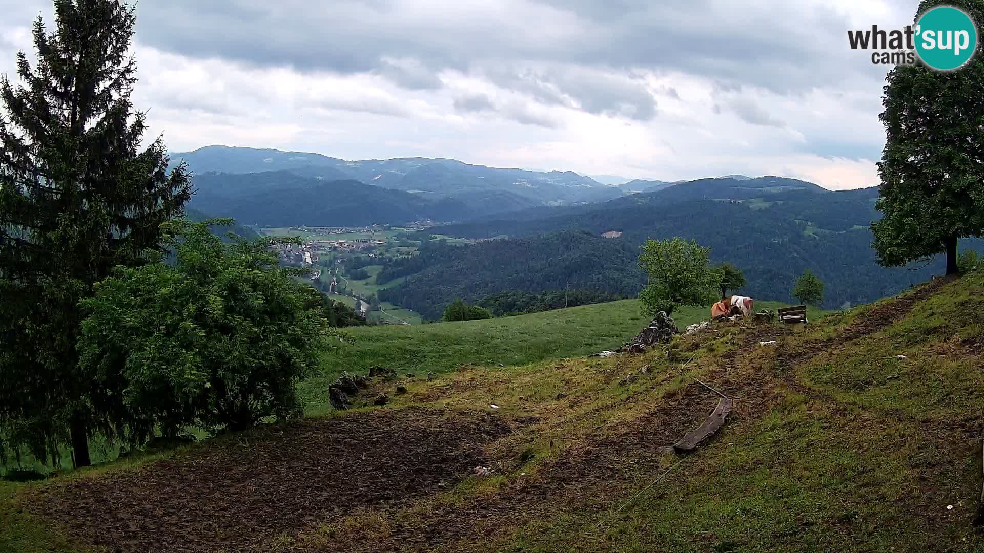 Slajka web kamera | Gorenja Vas | Slovenija