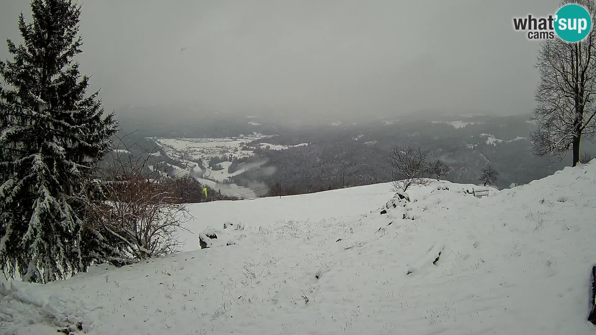 Slajka camera en vivo | Gorenja Vas | Eslovenia