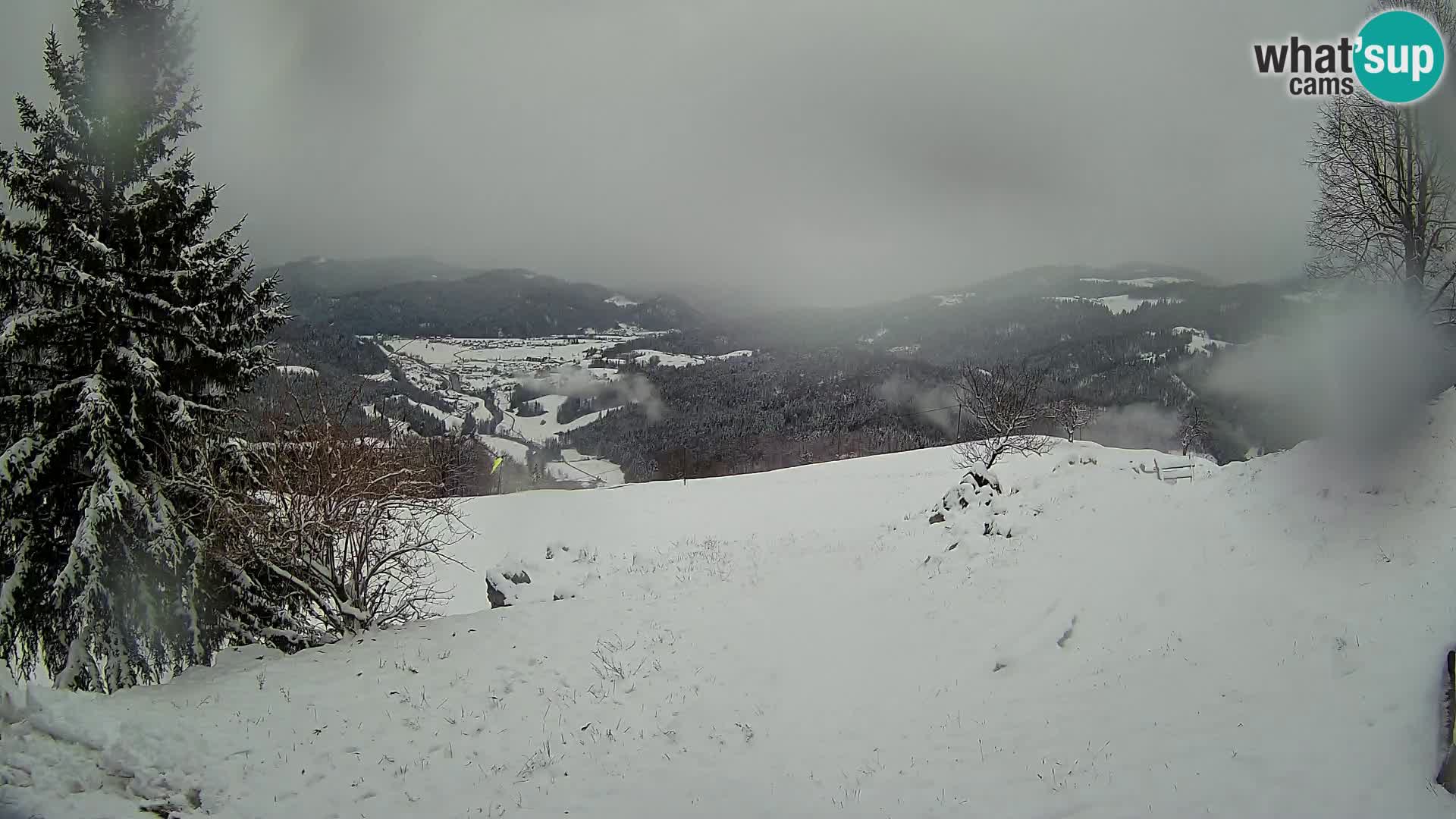 Slajka camera en vivo | Gorenja Vas | Eslovenia