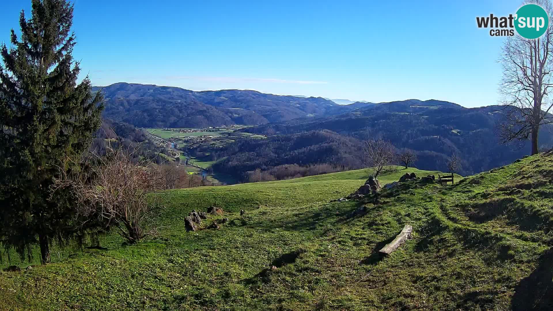 Slajka camera en vivo | Gorenja Vas | Eslovenia