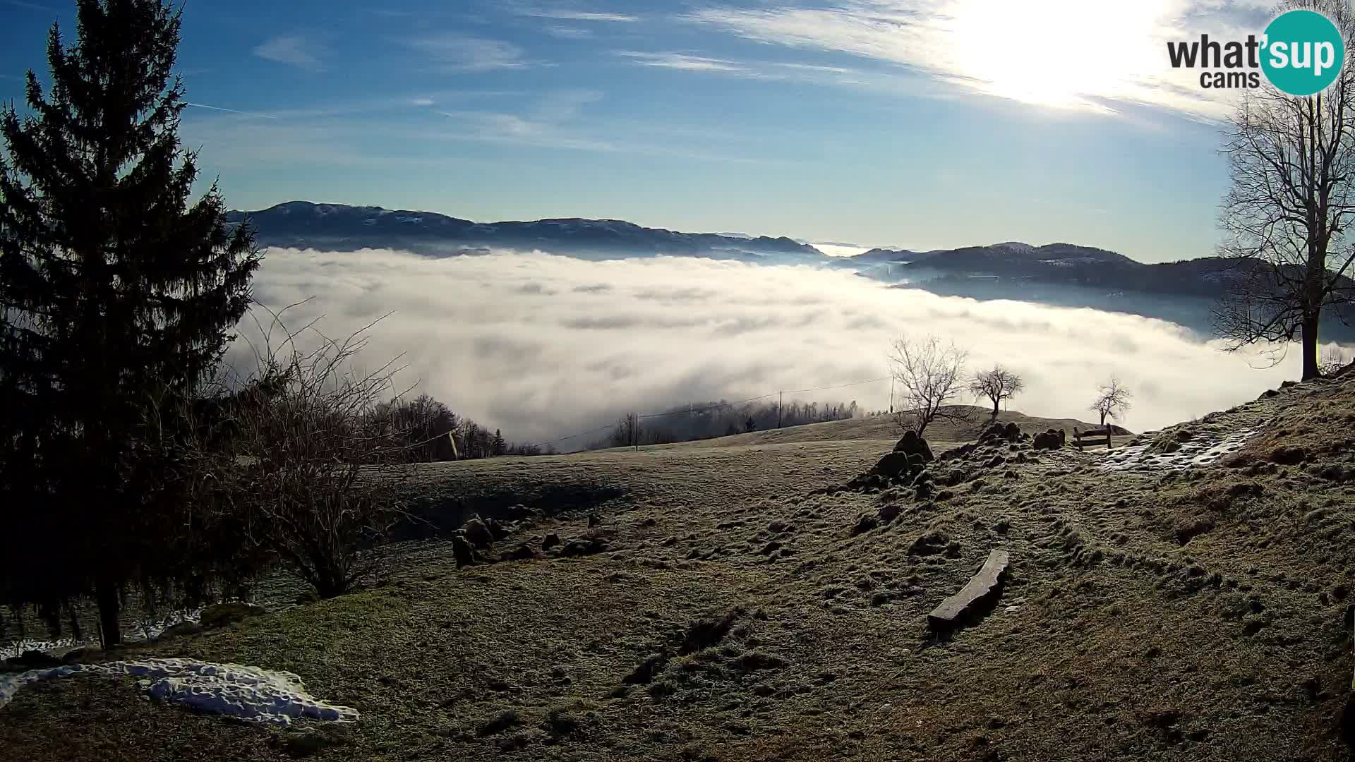 Slajka webam | Gorenja vas | Slovenia