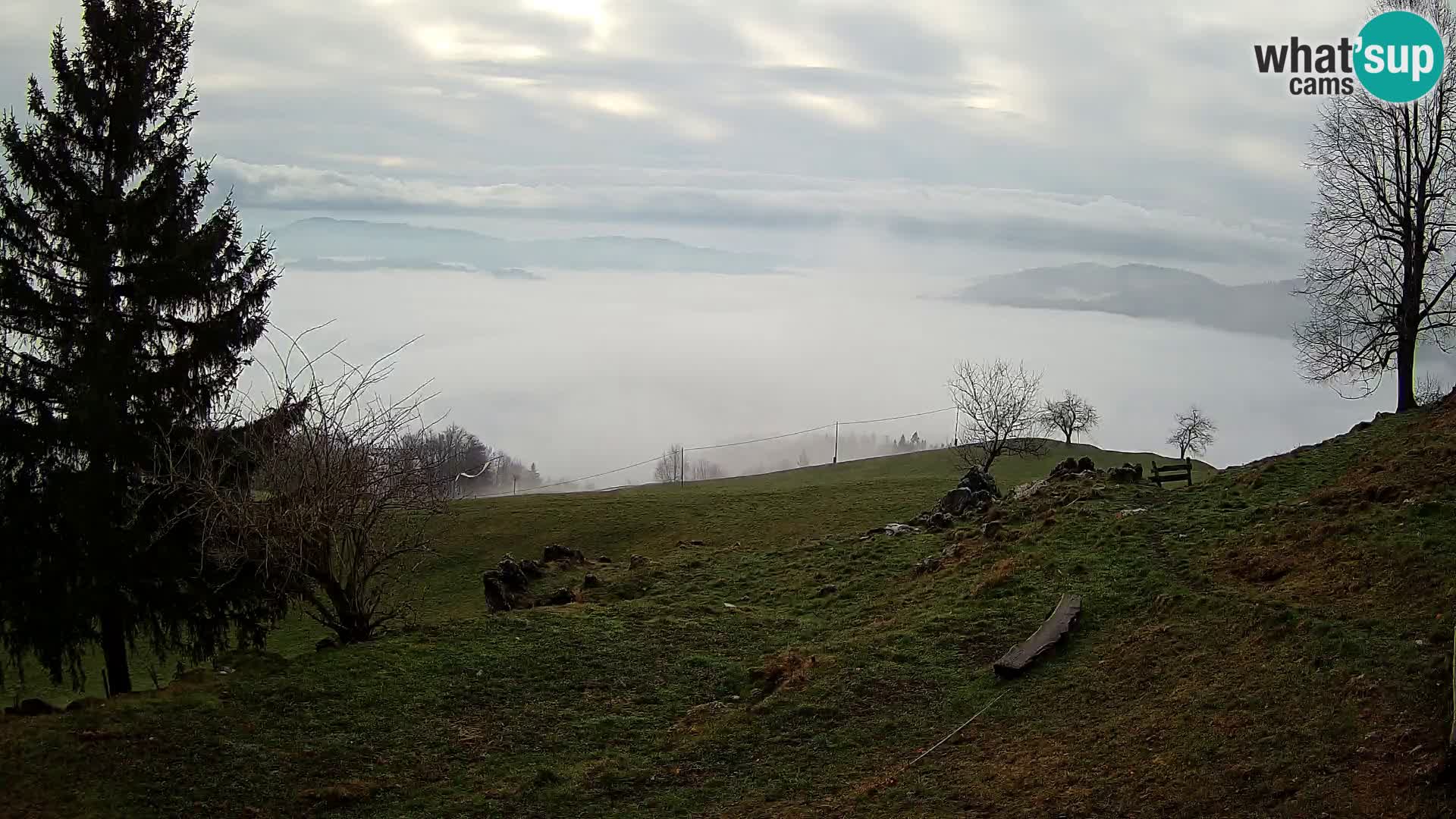 Slajka webam | Gorenja vas | Slovenia