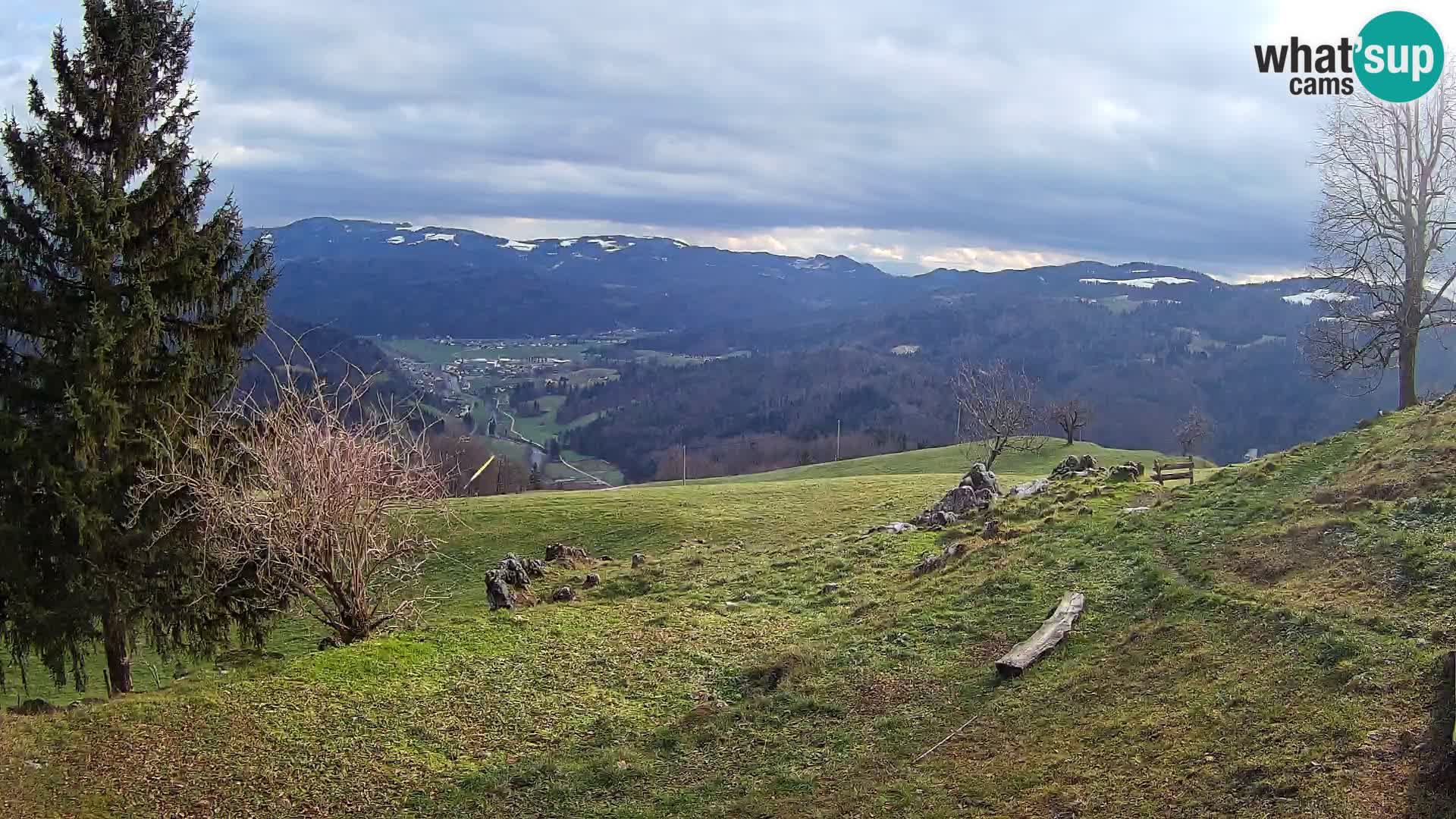 Slajka webam | Gorenja vas | Slovenia