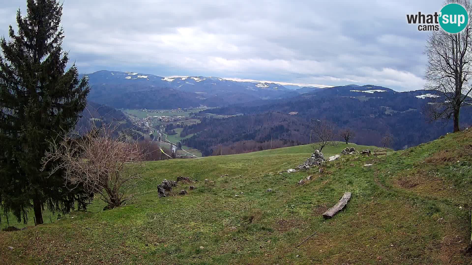 Slajka webam | Gorenja vas | Slovenia