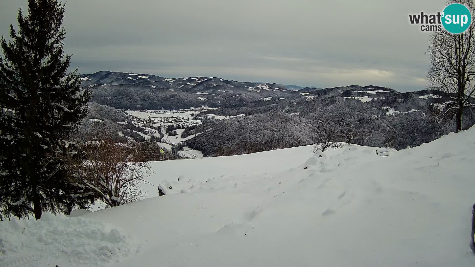 Slajka livecam | Gorenja Vas | Slovénie