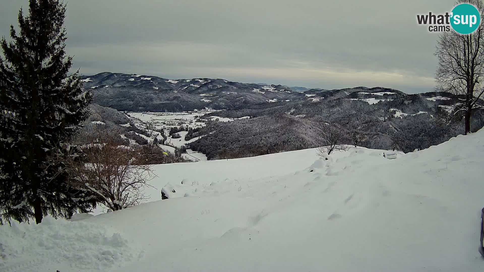 Slajka livecam | Gorenja Vas | Slovénie