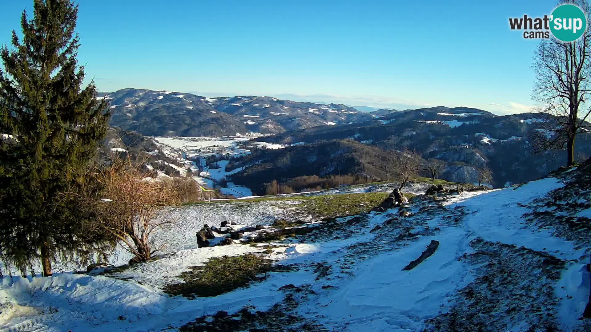 Slajka webam | Gorenja vas | Slovenia