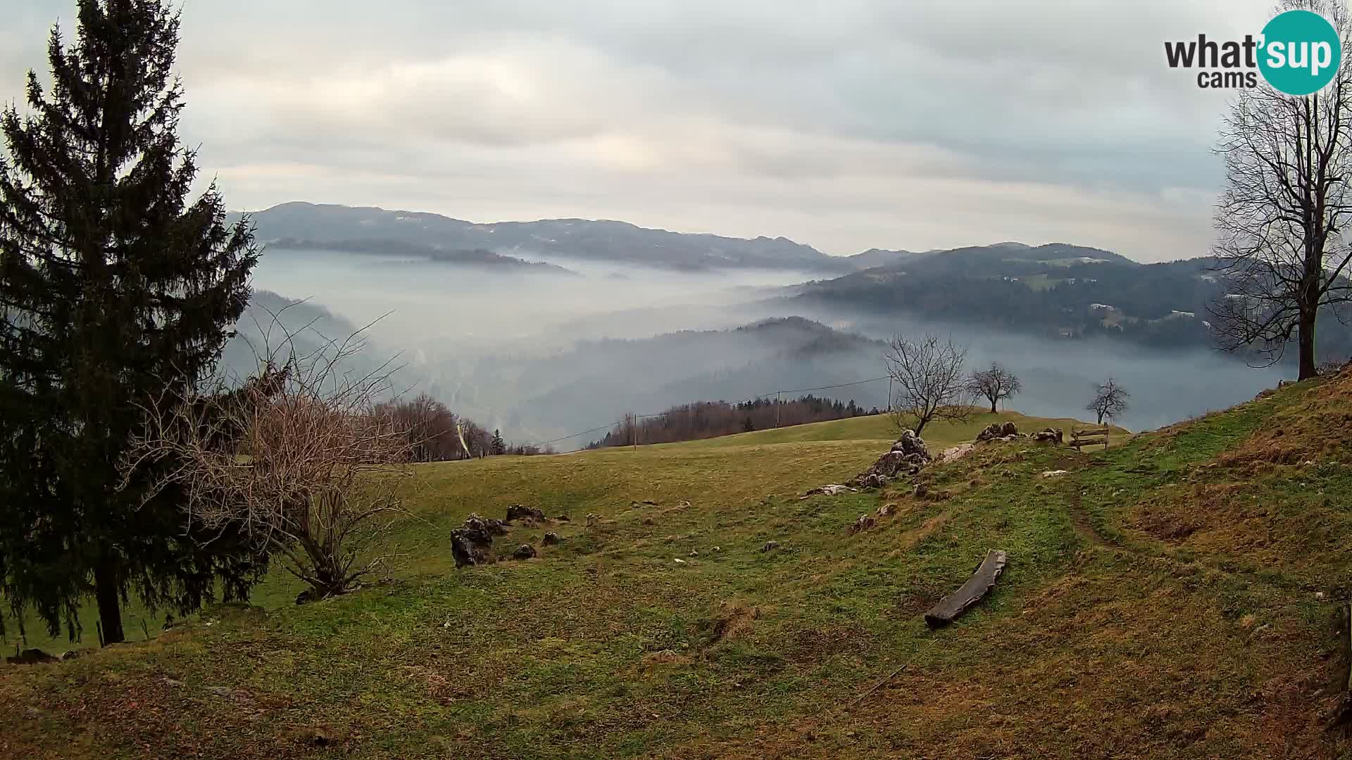 Slajka webam | Gorenja vas | Slovenia