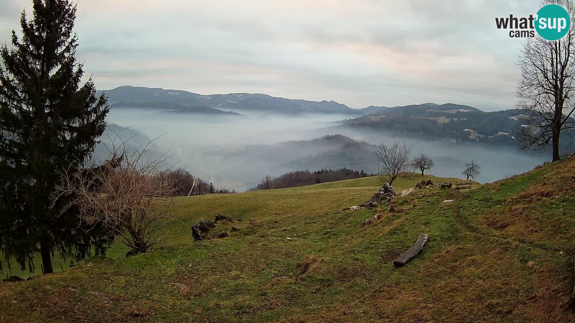 Slajka camera en vivo | Gorenja Vas | Eslovenia