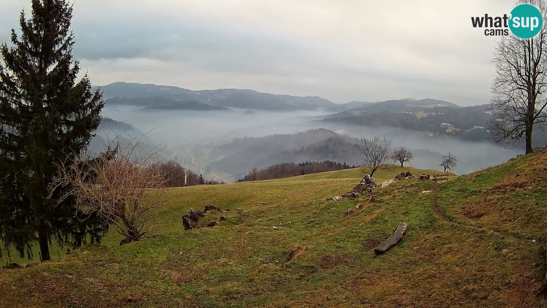 Slajka camera en vivo | Gorenja Vas | Eslovenia