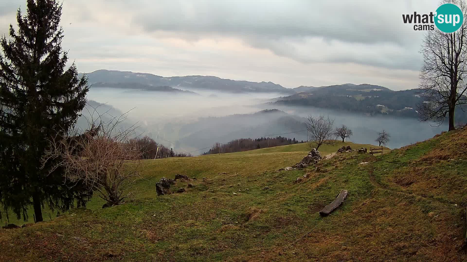 Slajka camera en vivo | Gorenja Vas | Eslovenia