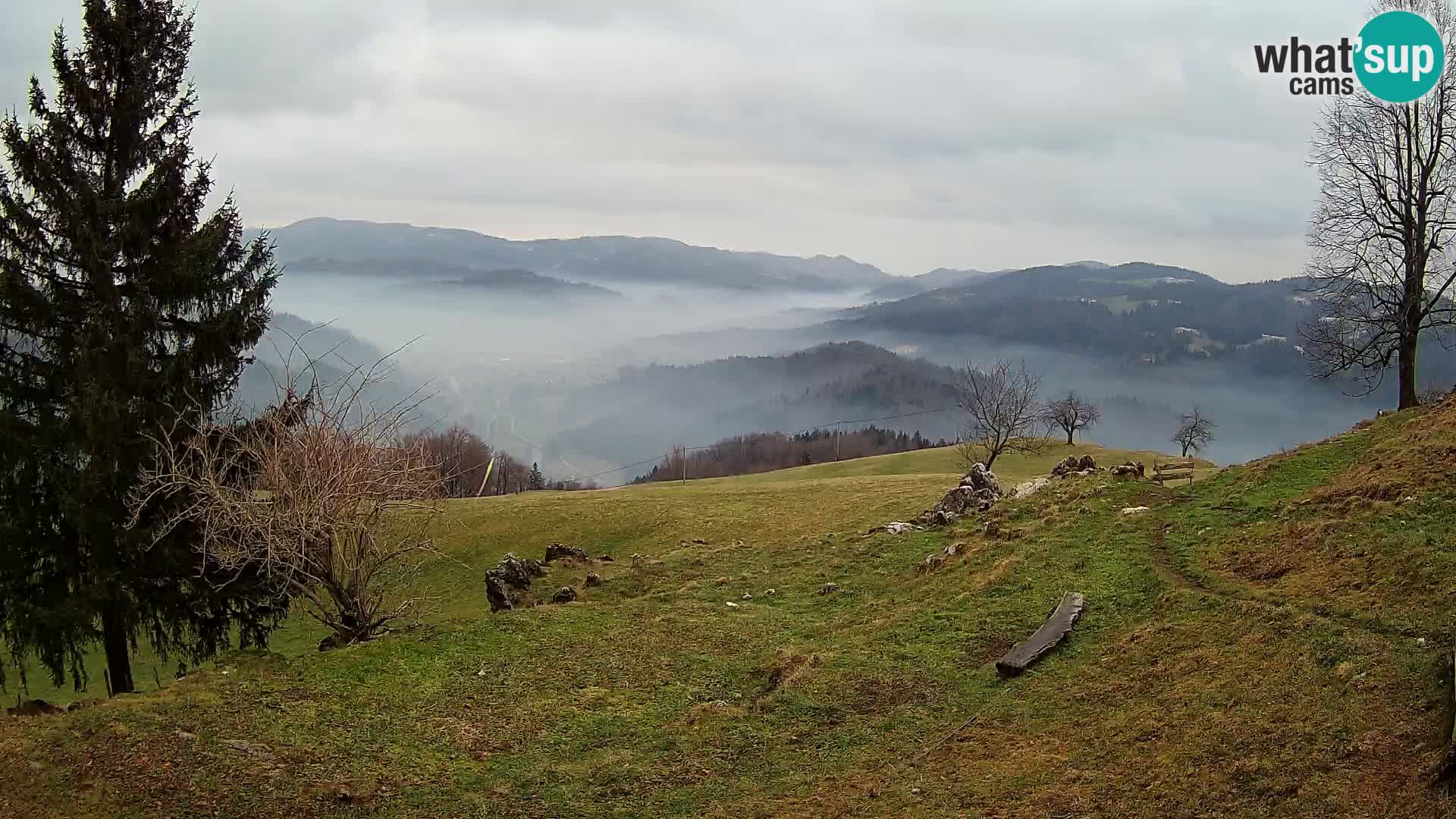 Slajka camera en vivo | Gorenja Vas | Eslovenia