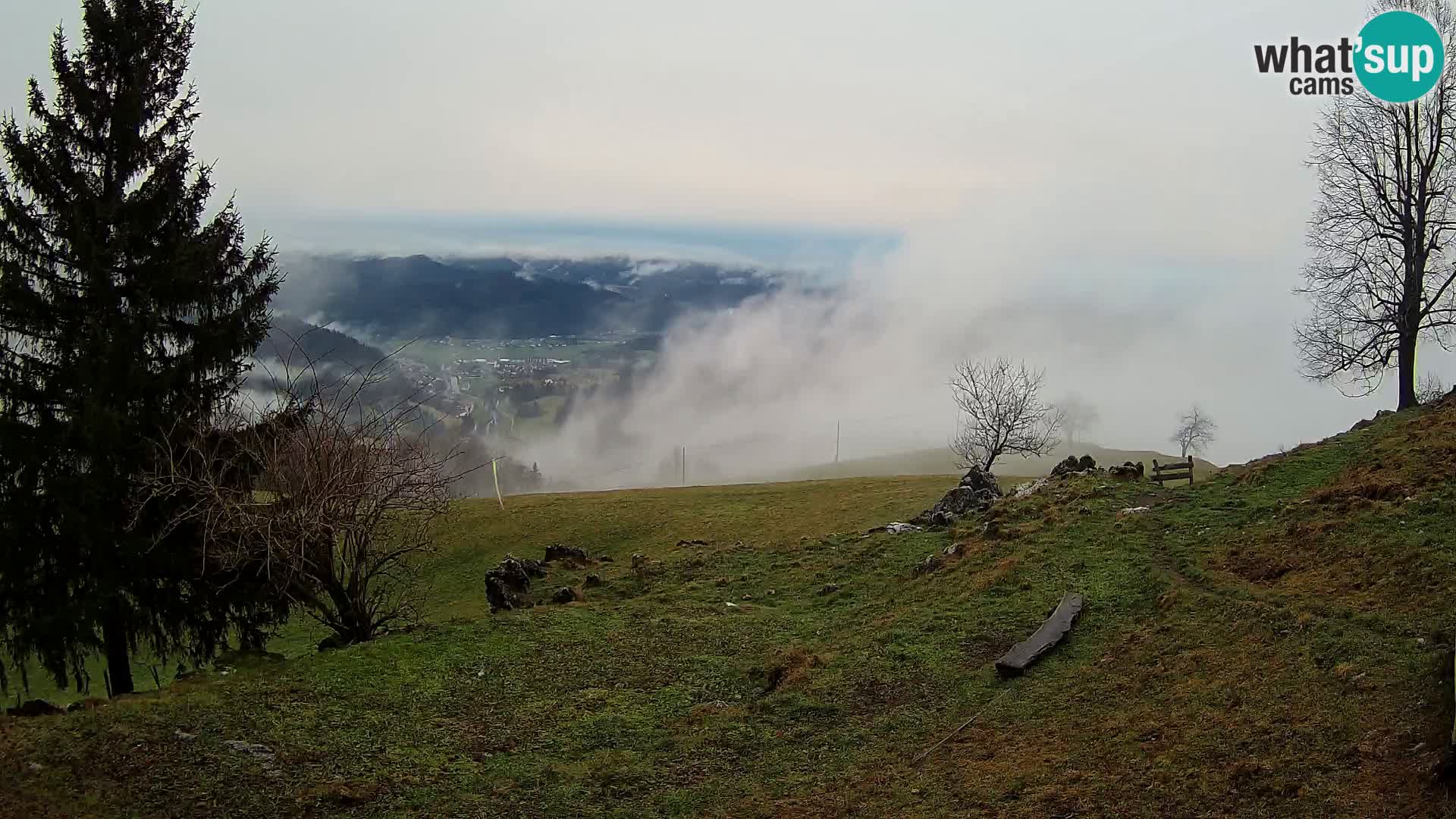 Slajka camera en vivo | Gorenja Vas | Eslovenia