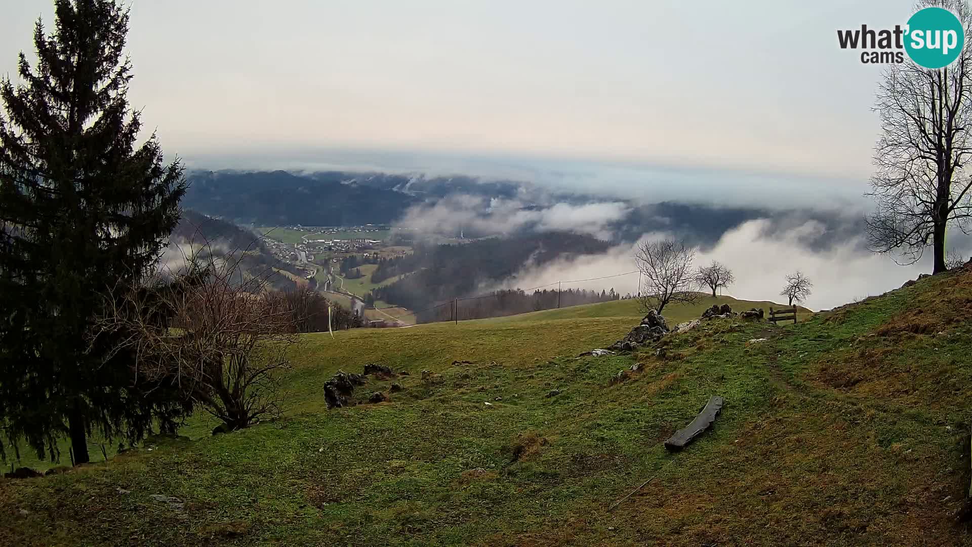 Slajka webam | Gorenja vas | Slovenia