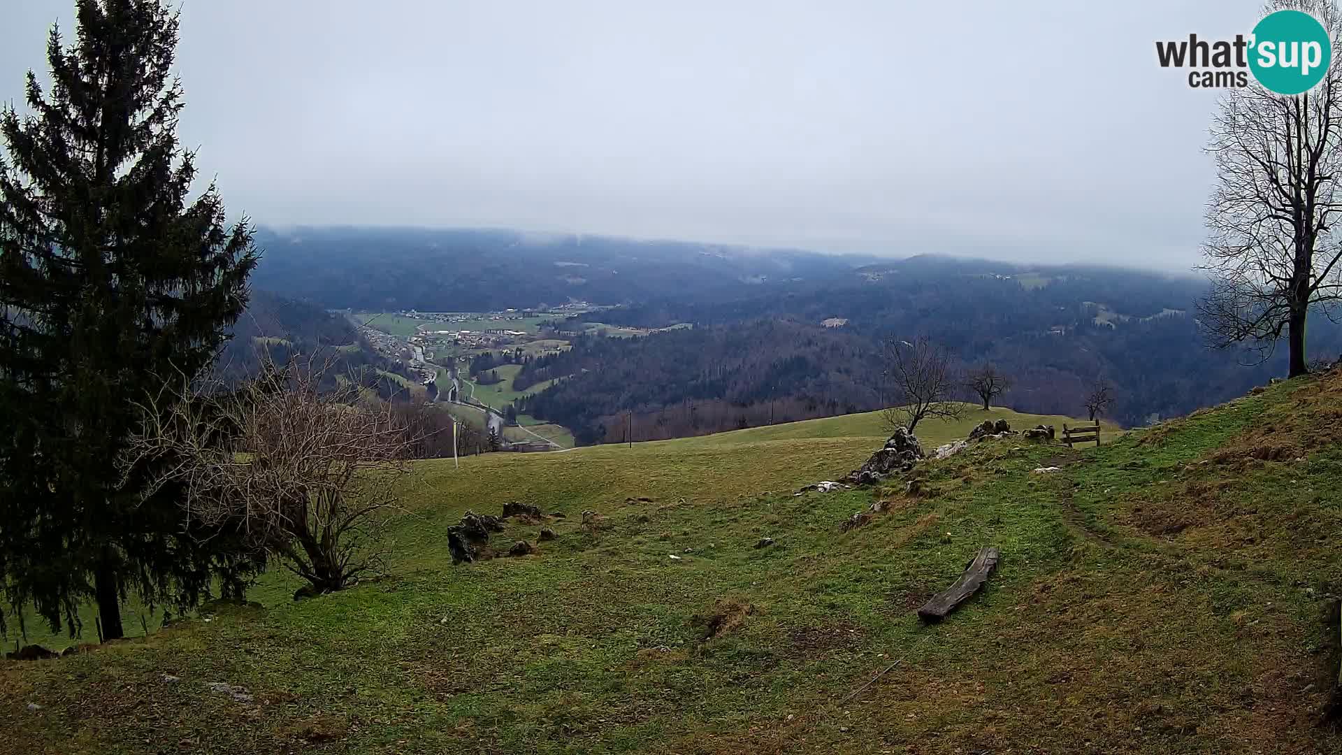 Slajka camera en vivo | Gorenja Vas | Eslovenia