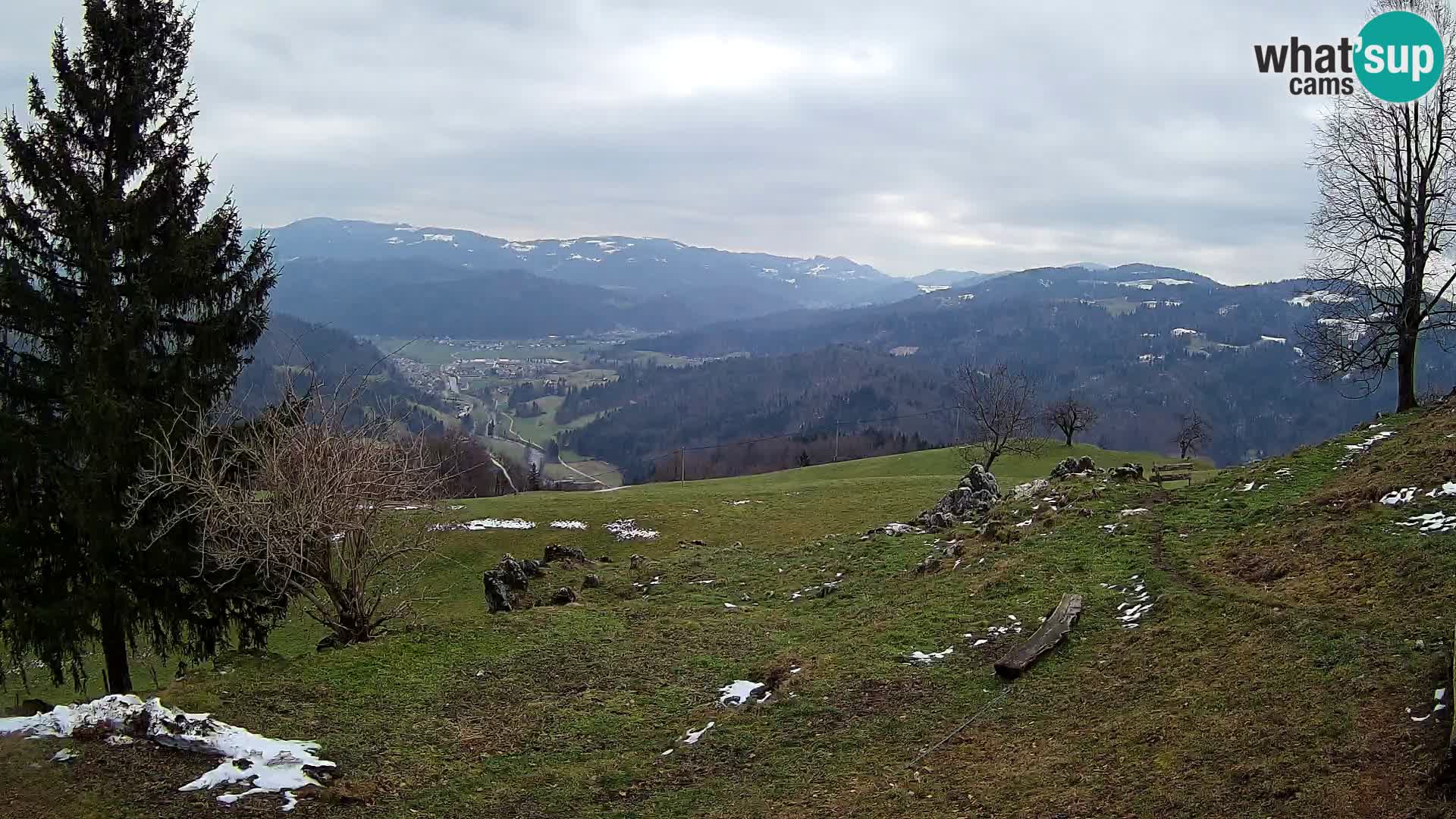 Slajka camera en vivo | Gorenja Vas | Eslovenia