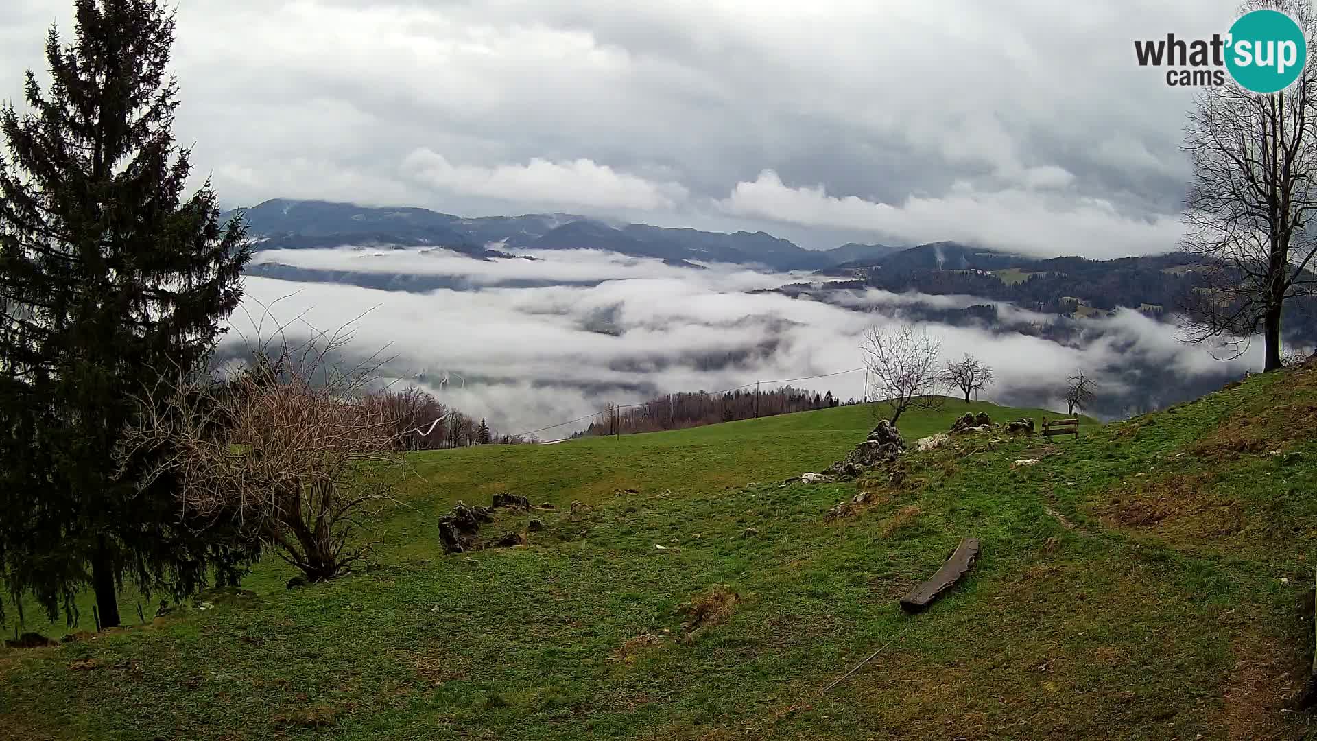 Slajka webam | Gorenja vas | Slovenia