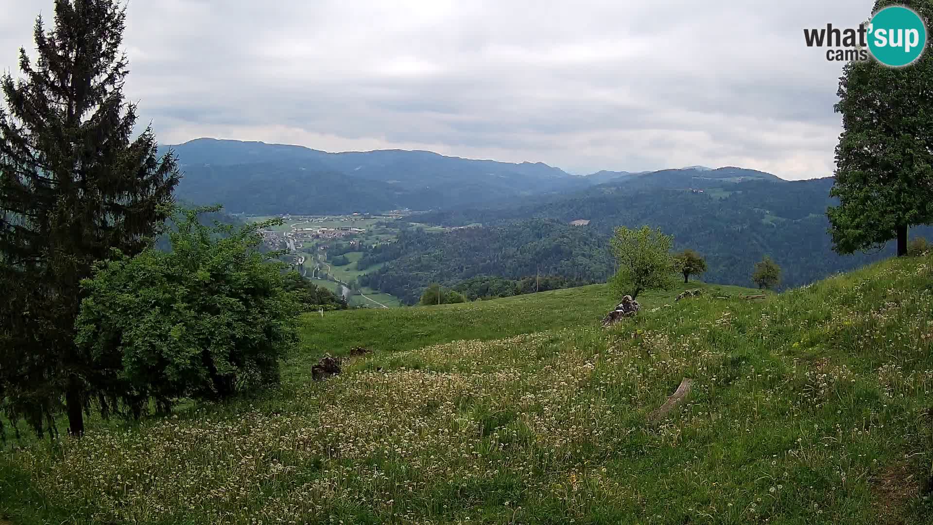 Slajka livecam | Gorenja Vas | Slovénie