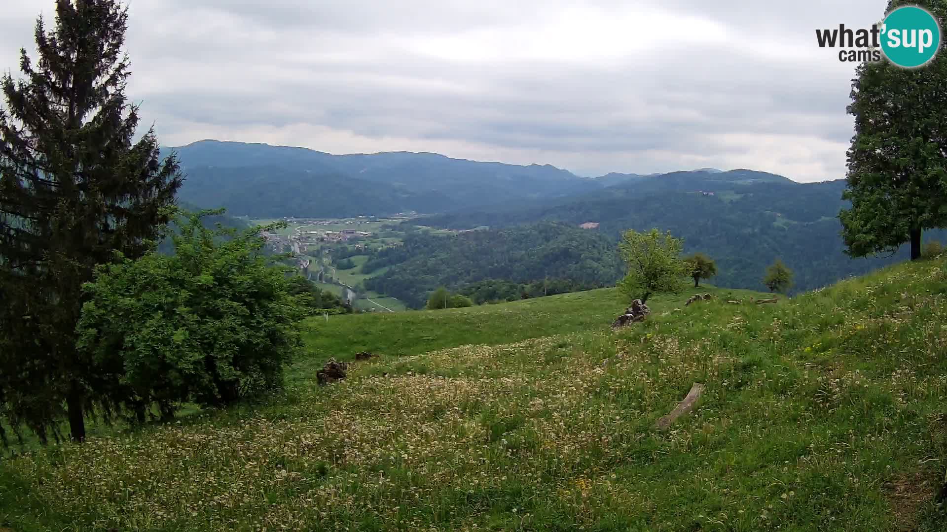 Slajka livecam | Gorenja Vas | Slovénie