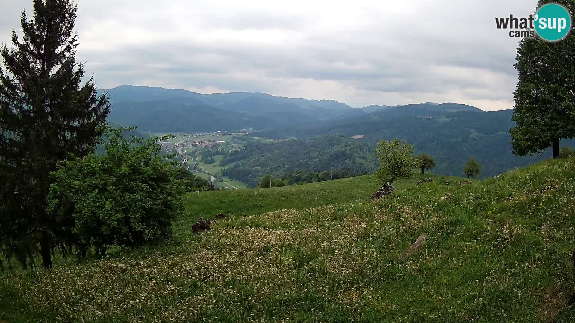 Slajka webam | Gorenja vas | Slovenia