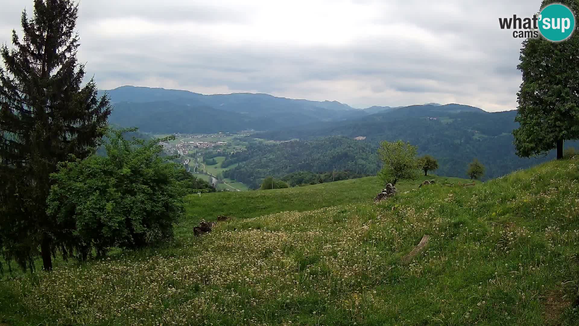 Slajka webam | Gorenja vas | Slovenia
