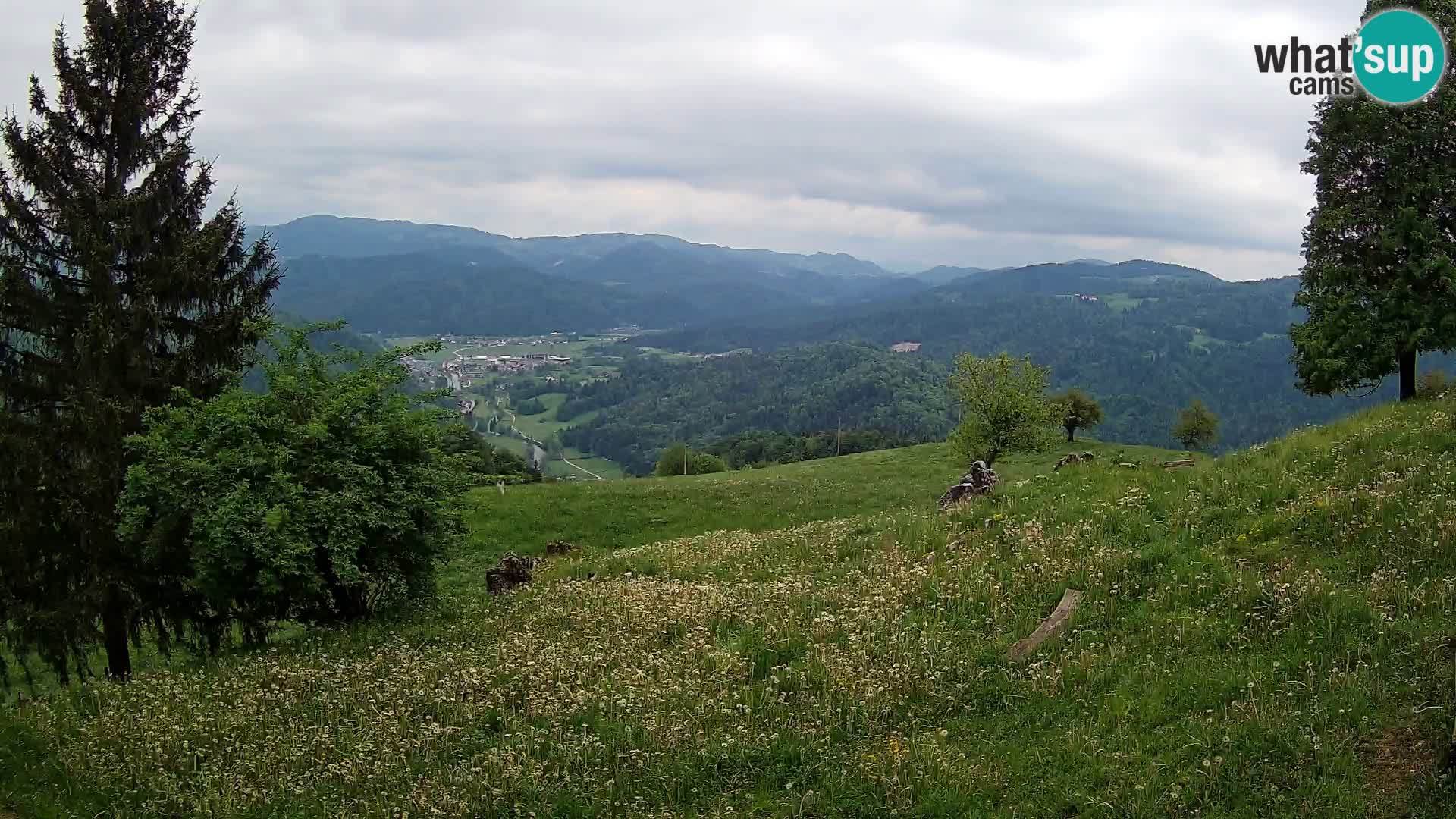 Slajka camera en vivo | Gorenja Vas | Eslovenia