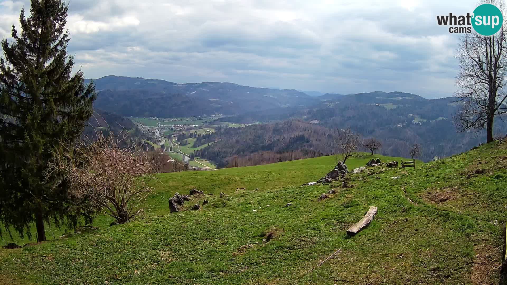 Slajka camera en vivo | Gorenja Vas | Eslovenia