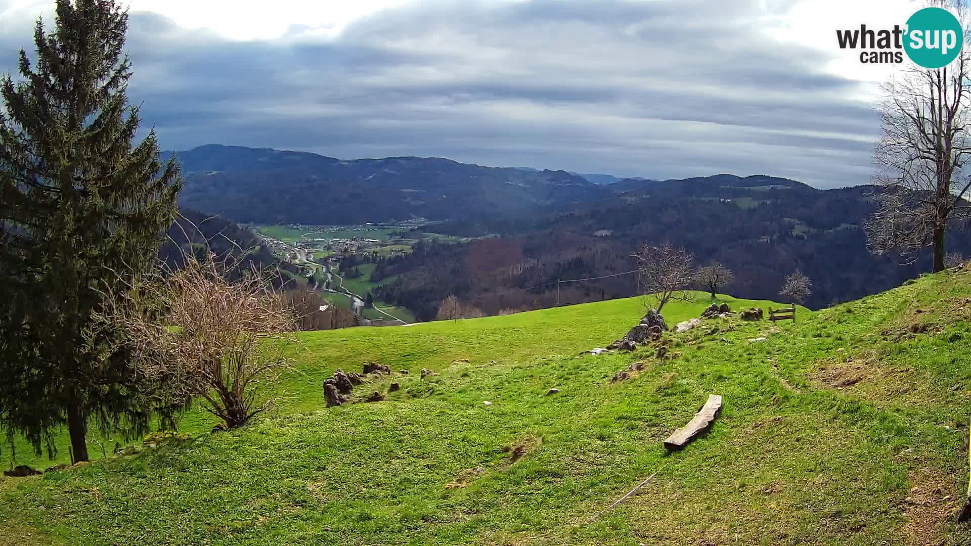 Slajka camera en vivo | Gorenja Vas | Eslovenia