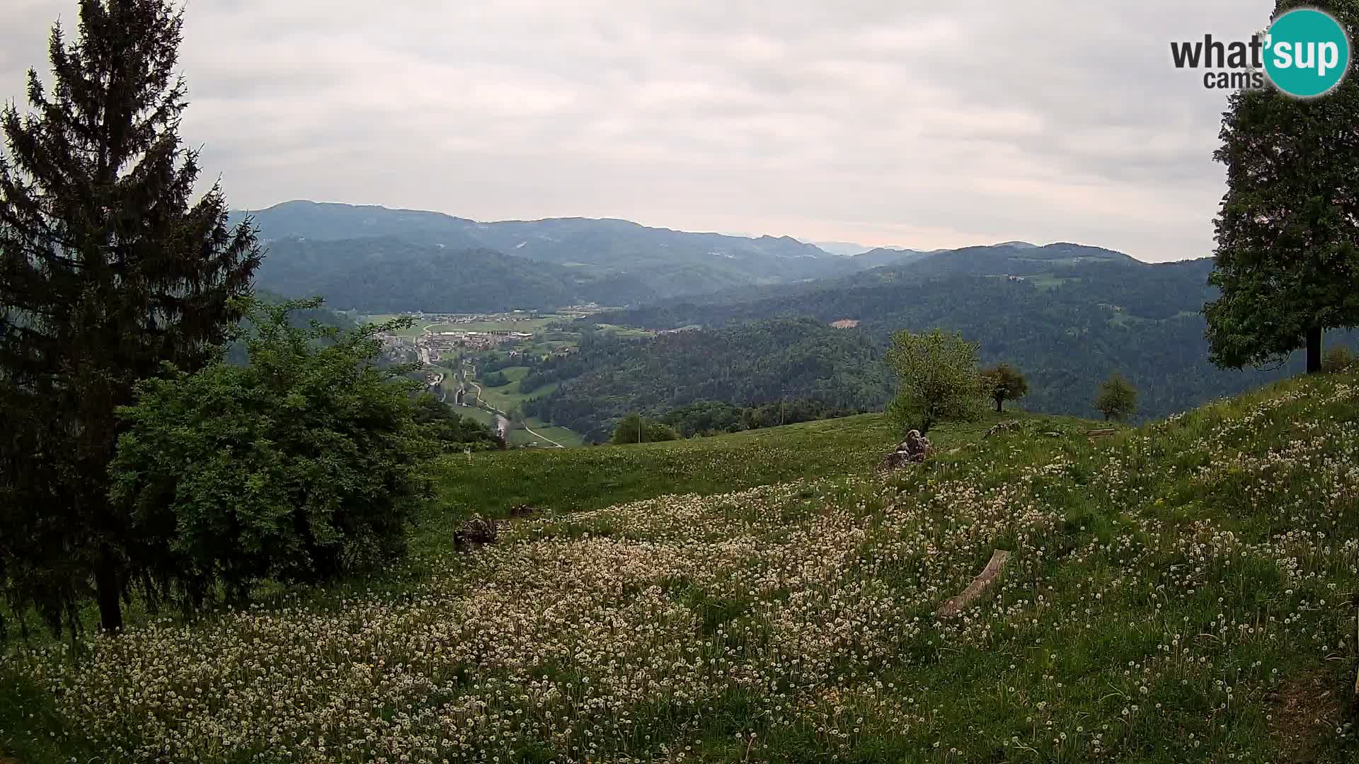 Slajka webcam | Gorenja Vas | Slowenien