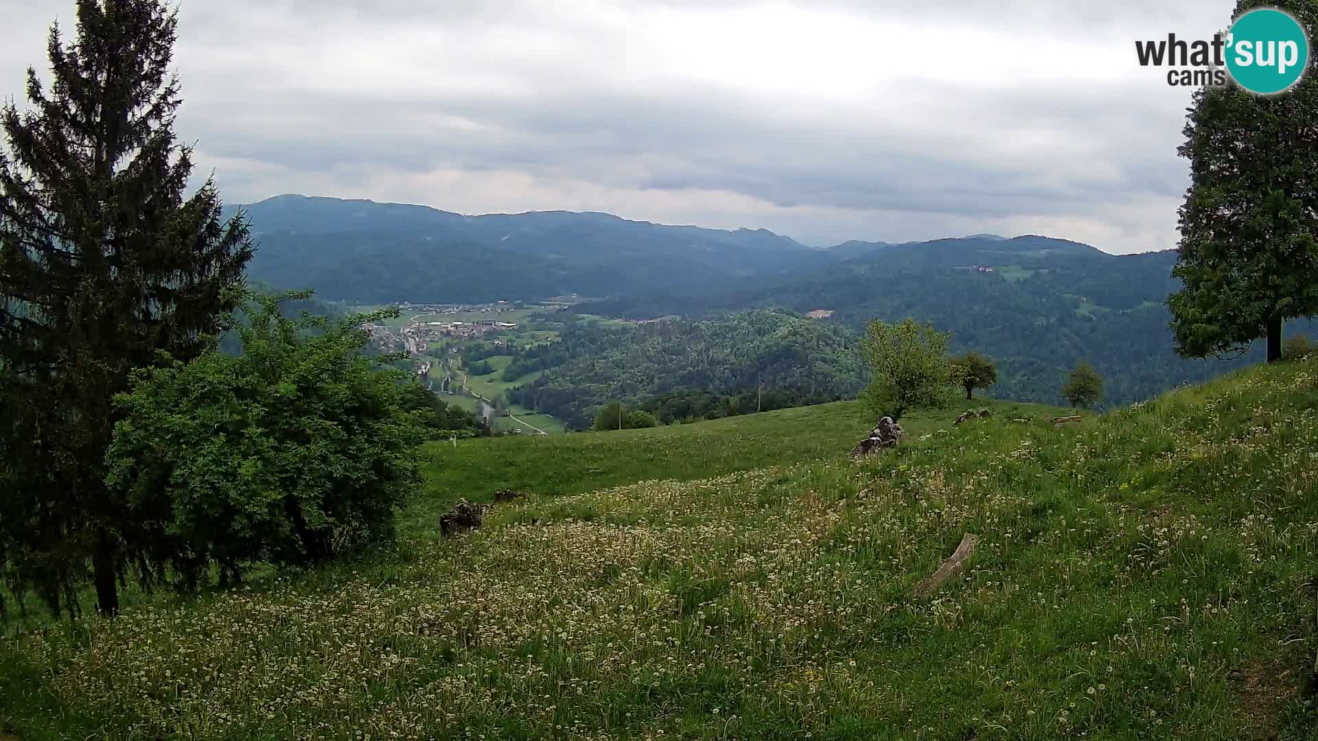 Slajka webam | Gorenja vas | Slovenia