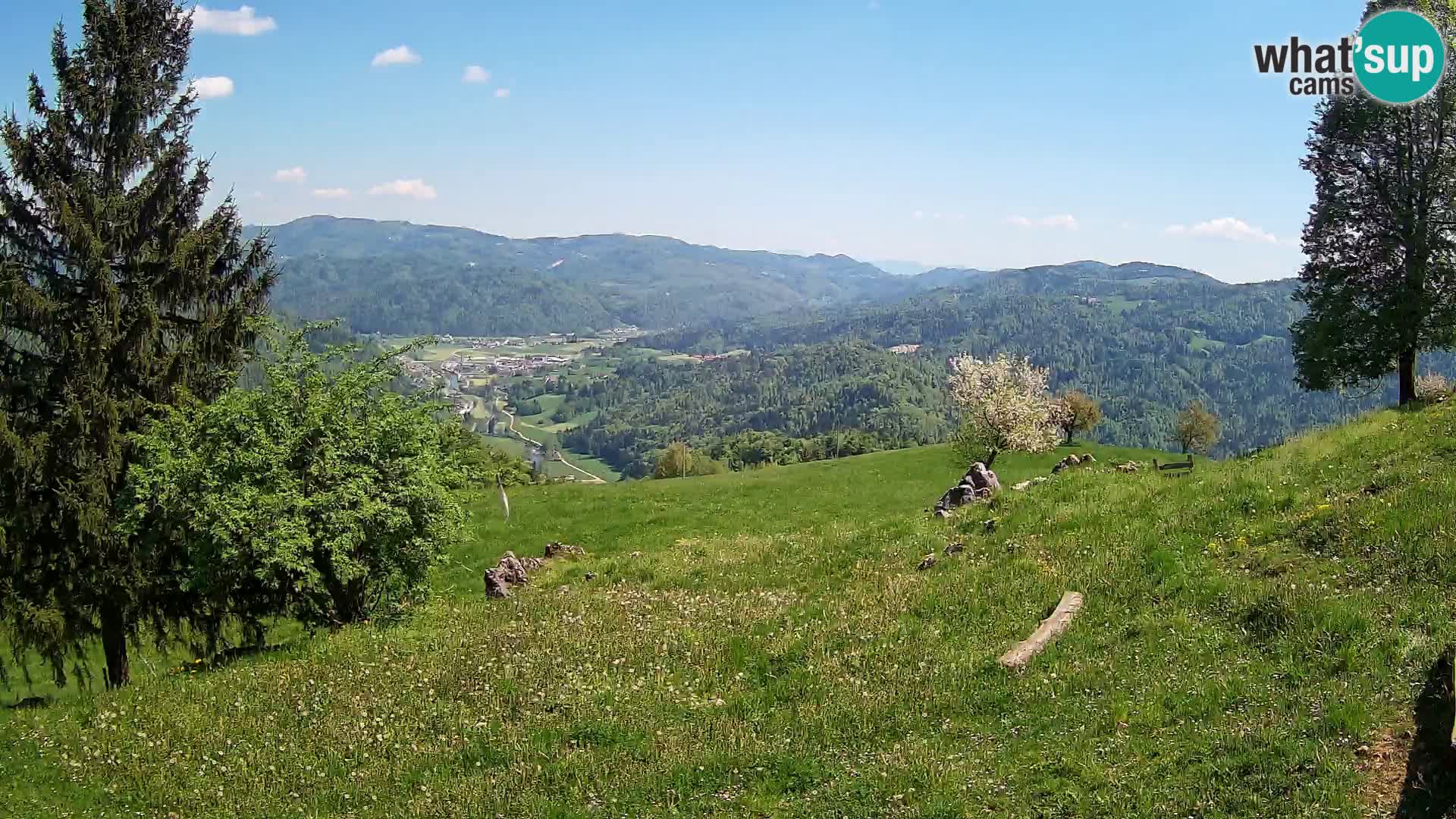 Slajka webam | Gorenja vas | Slovenia