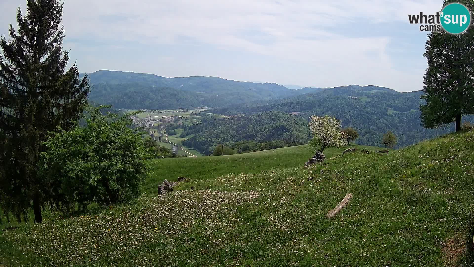 Slajka livecam | Gorenja Vas | Slovénie
