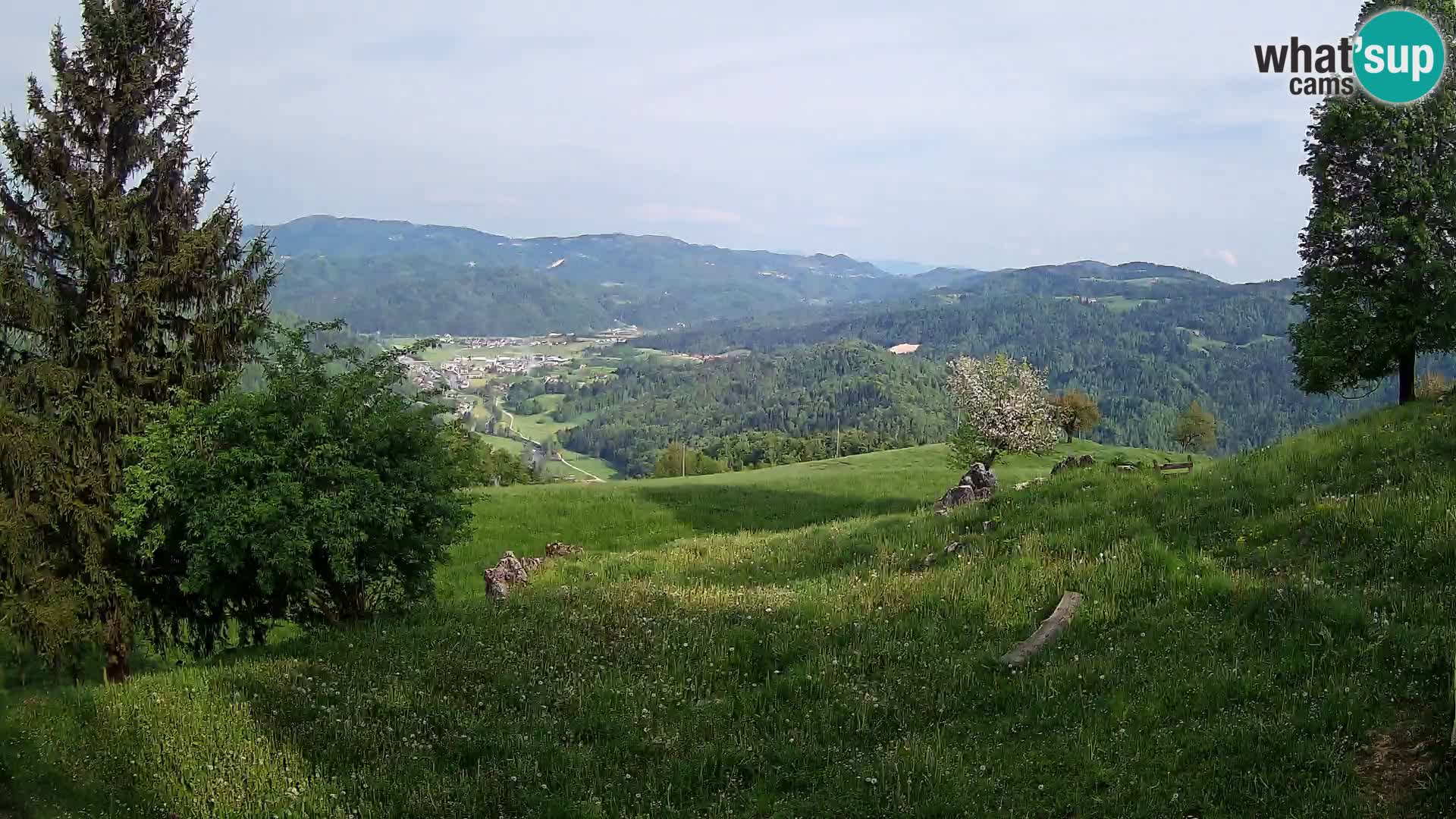 Slajka camera en vivo | Gorenja Vas | Eslovenia