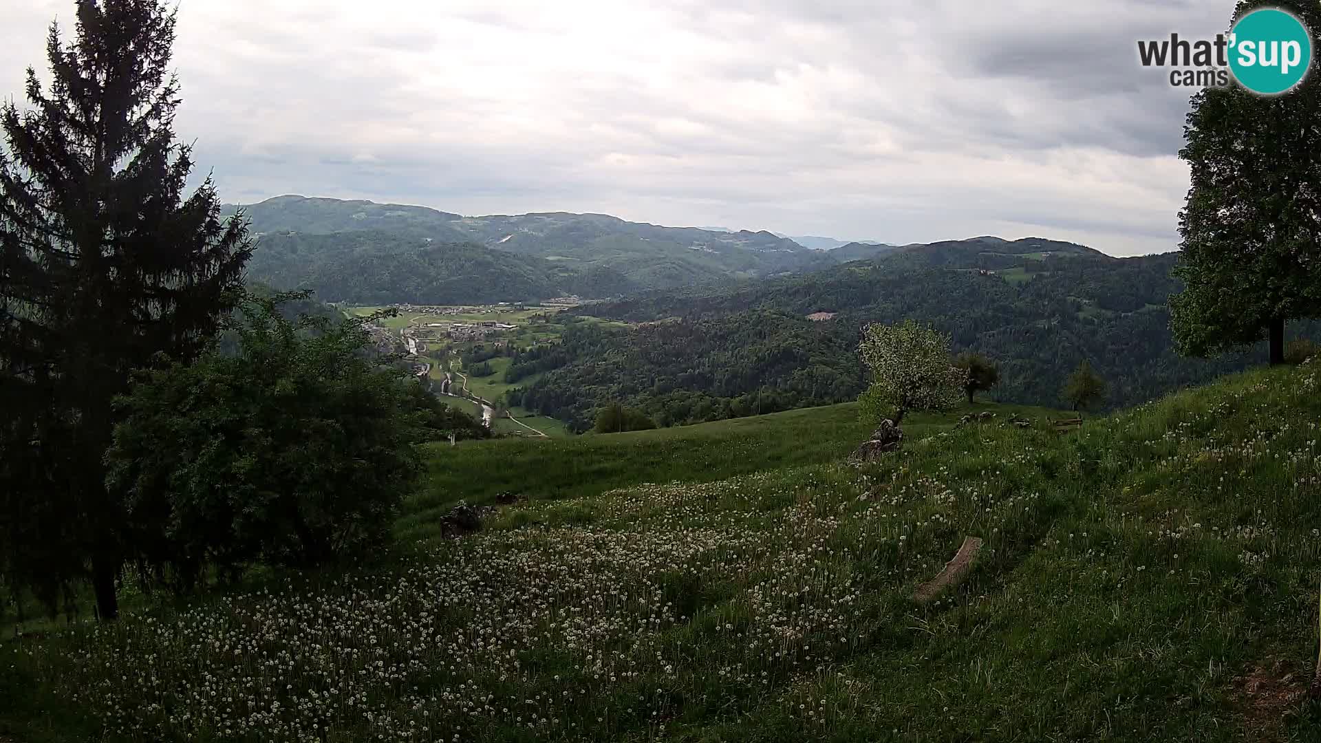 Slajka livecam | Gorenja Vas | Slovénie