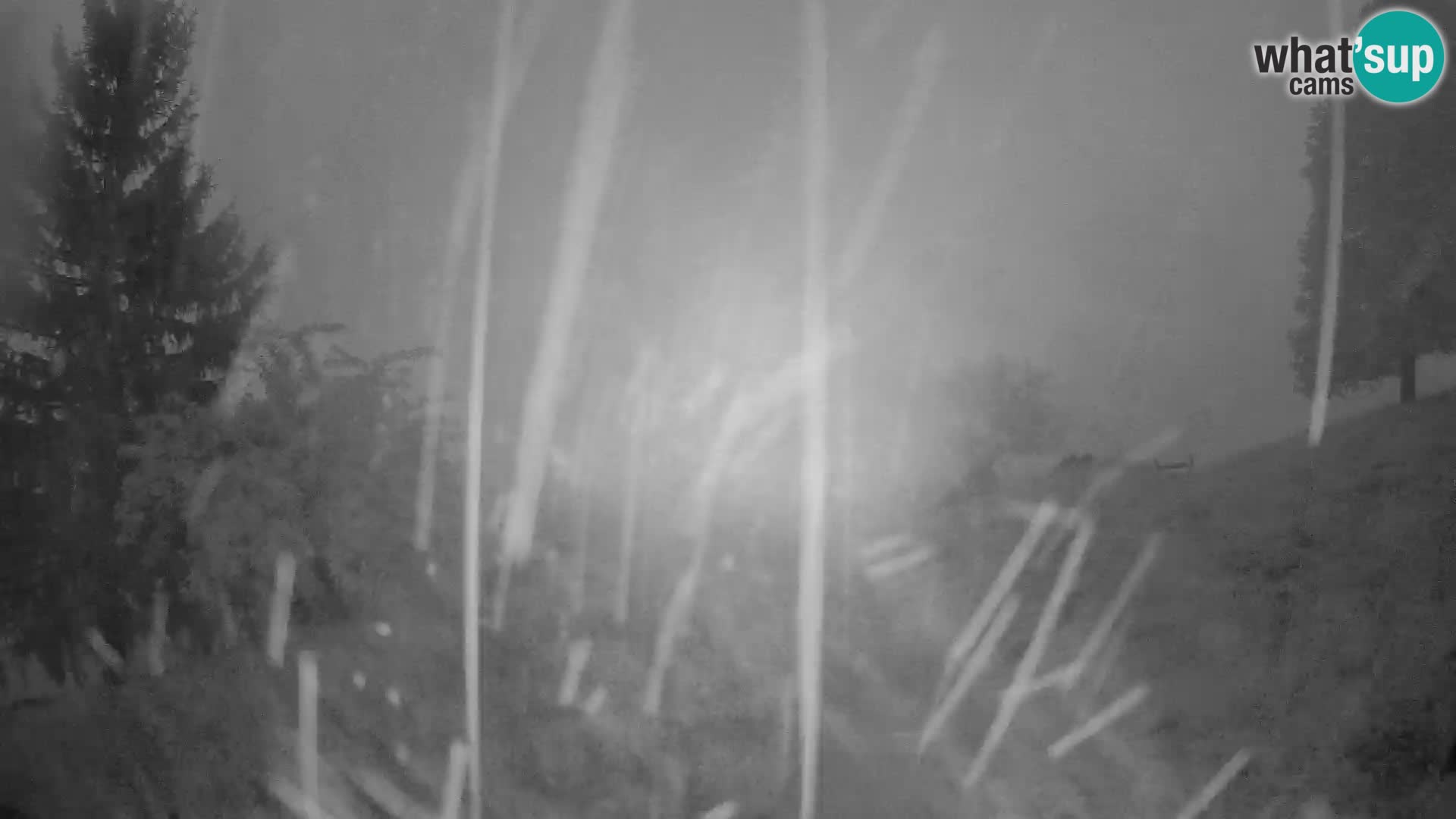 Slajka webcam | Gorenja Vas | Slowenien
