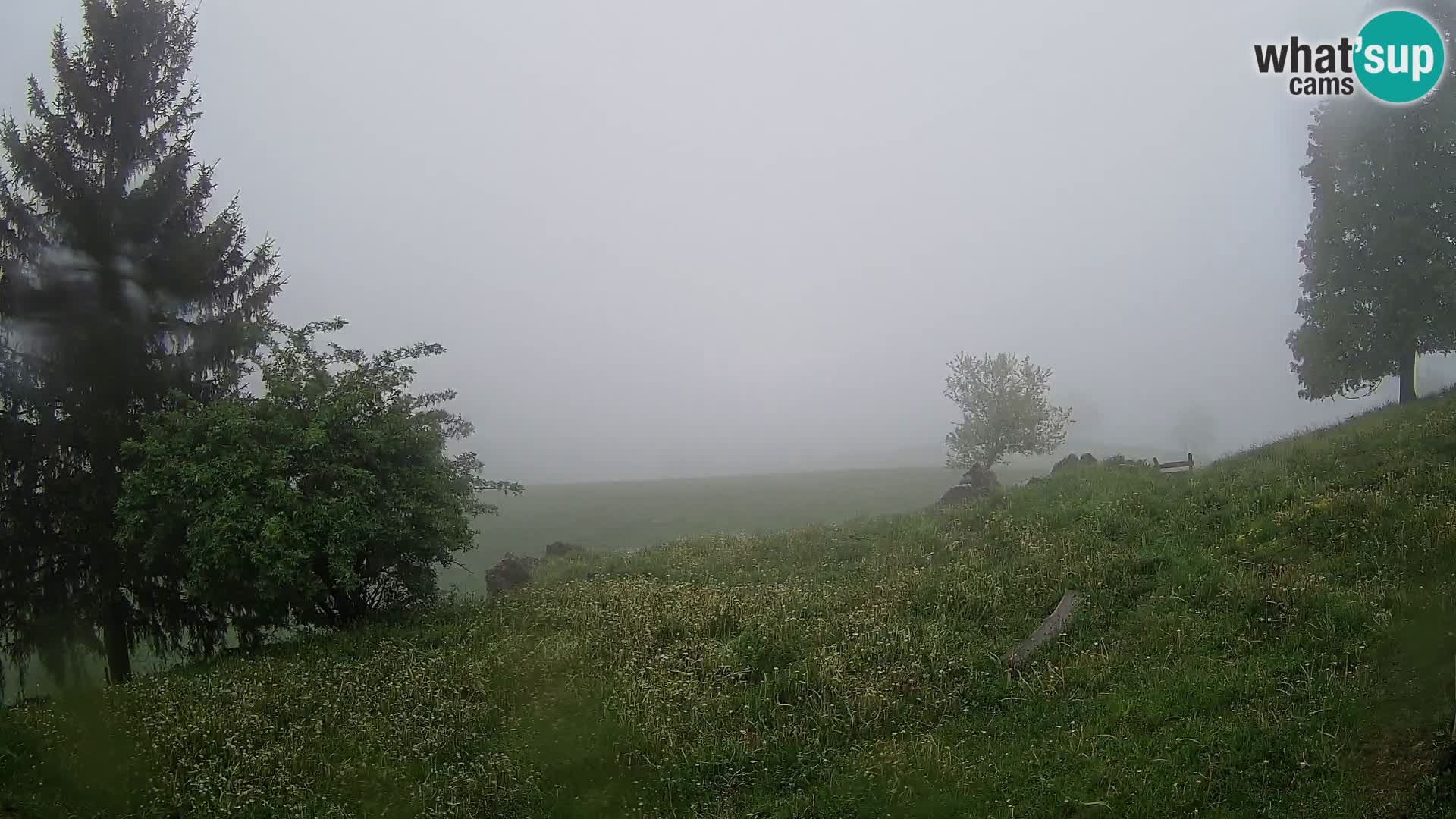 Slajka webam | Gorenja vas | Slovenia